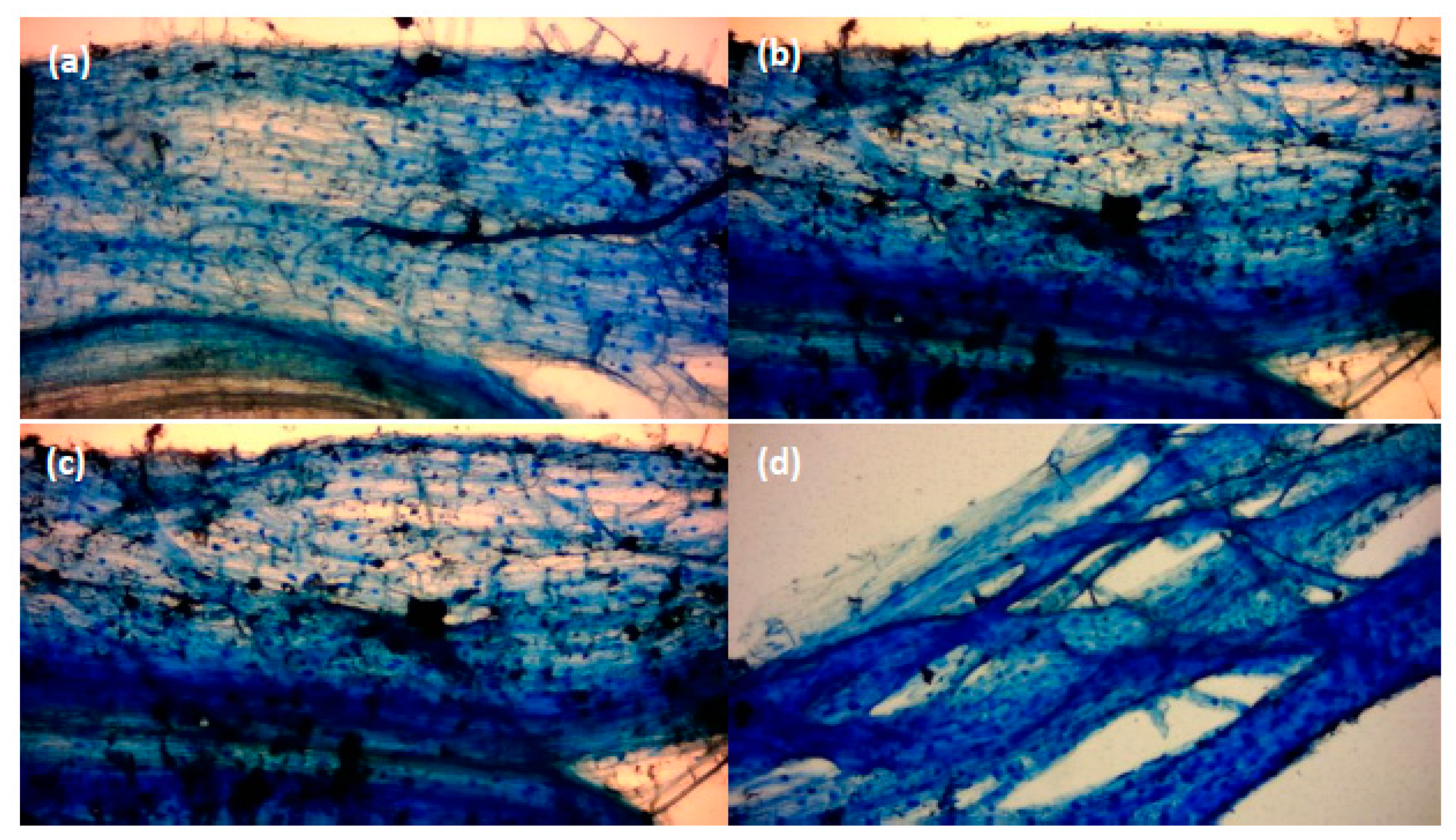 Microorganisms 08 01795 g002 Microorganisms 08 01795 g002