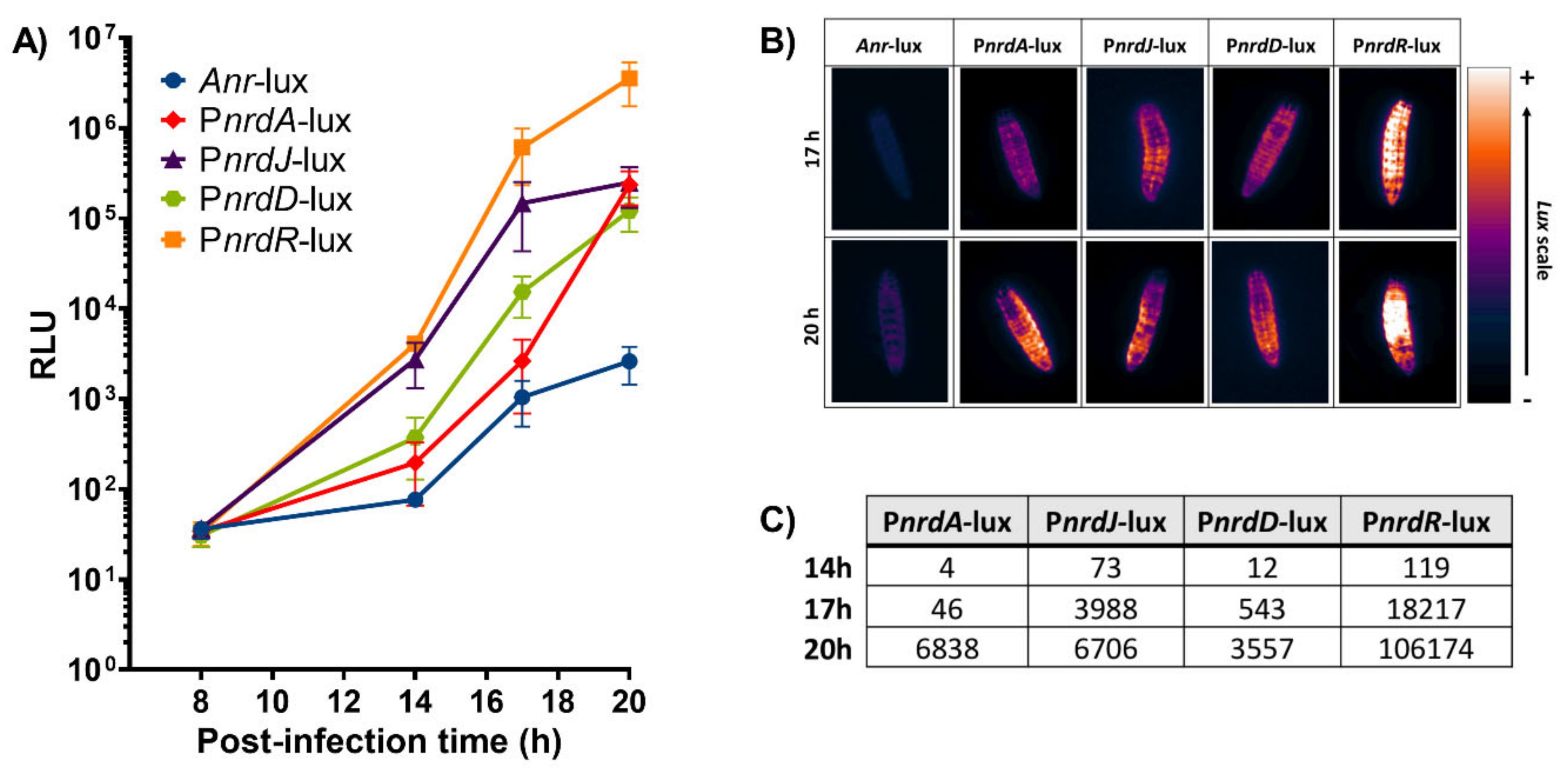 Microorganisms 08 01798 g004