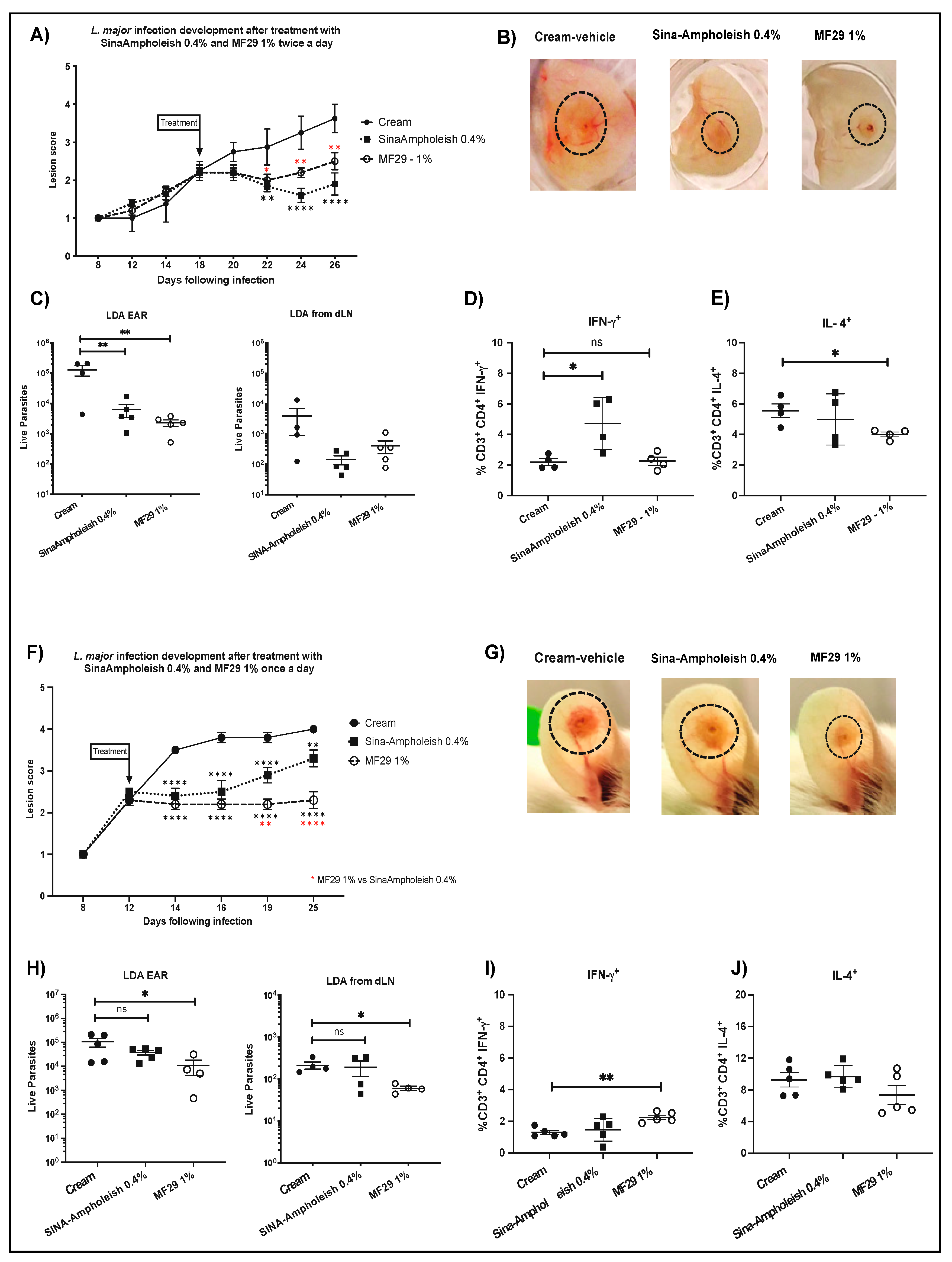 Microorganisms 08 01803 g006 Microorganisms 08 01803 g006