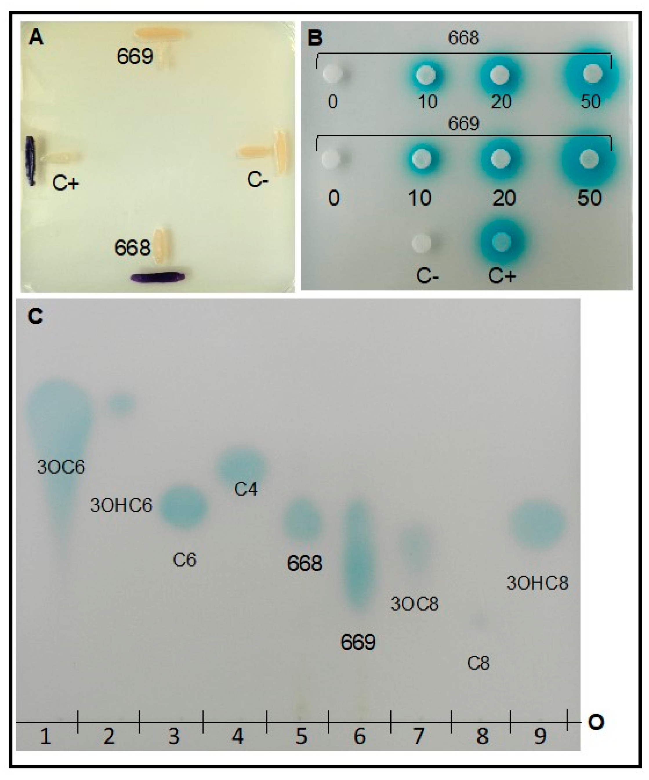 Microorganisms 08 01805 g004
