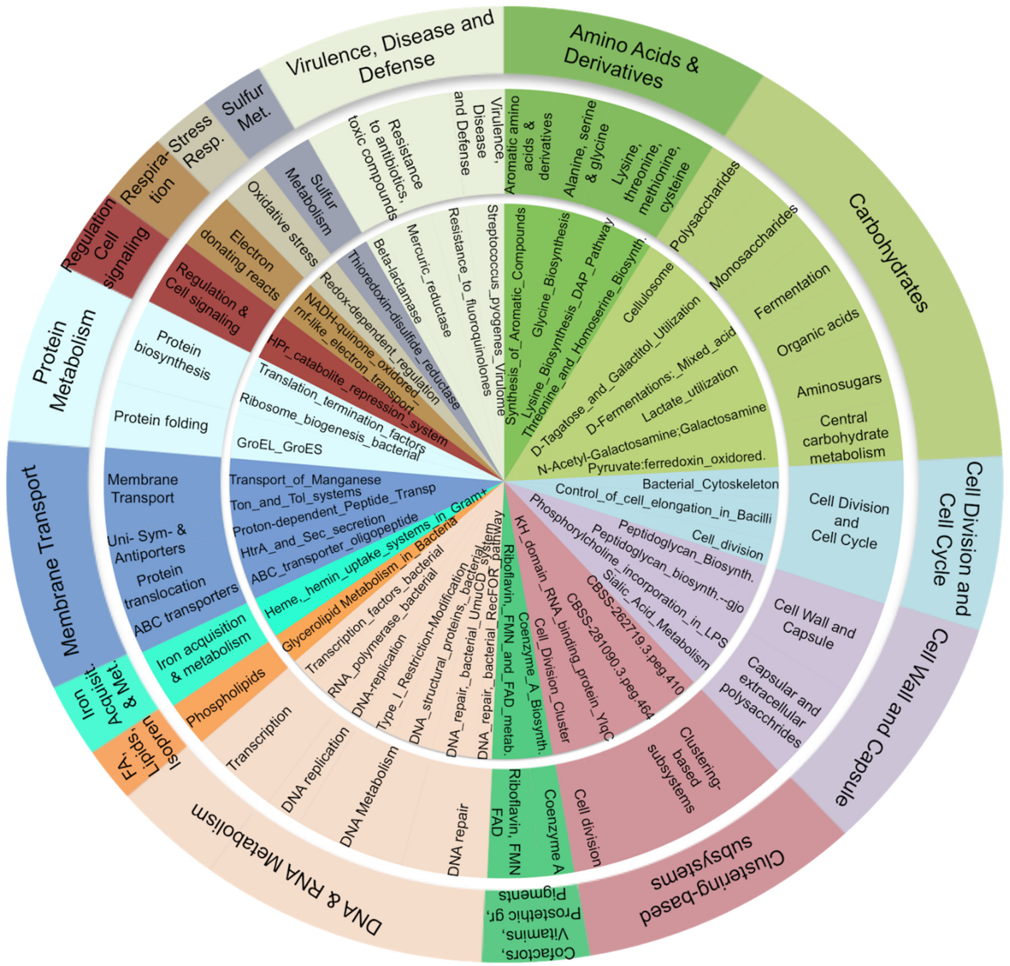 Microorganisms 08 01811 g004 Microorganisms 08 01811 g004