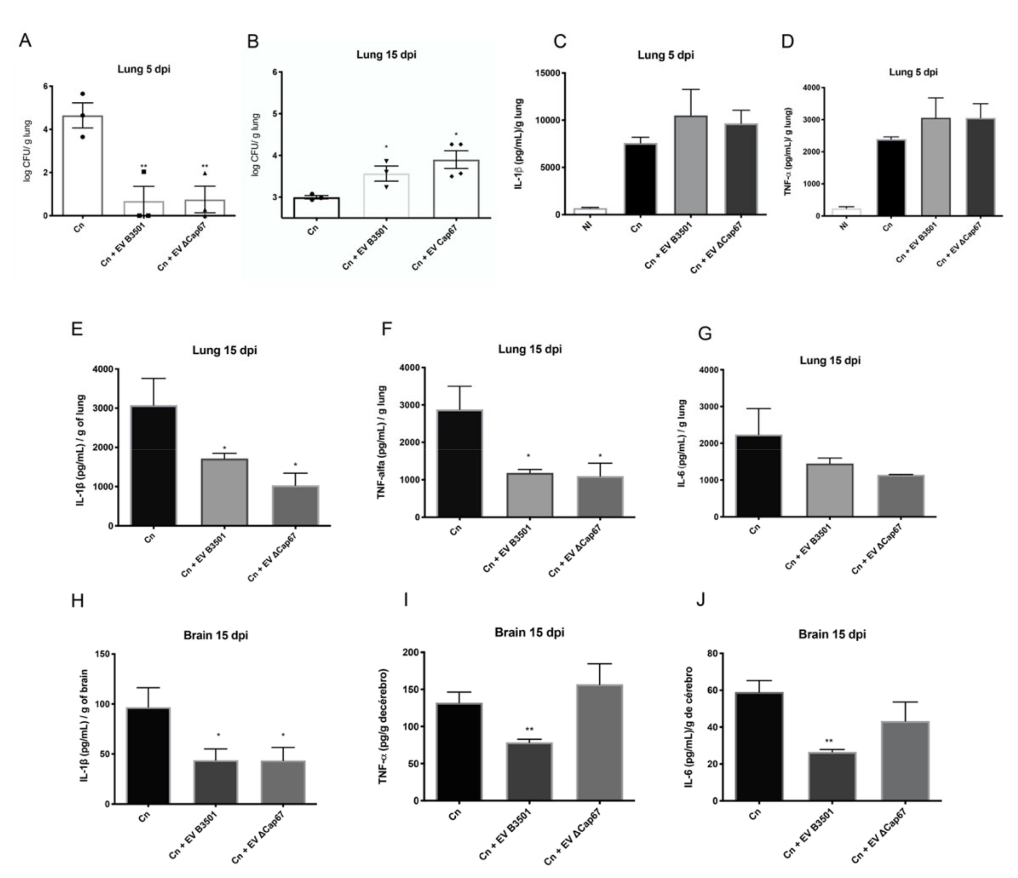 Microorganisms 08 01815 g003 Microorganisms 08 01815 g003