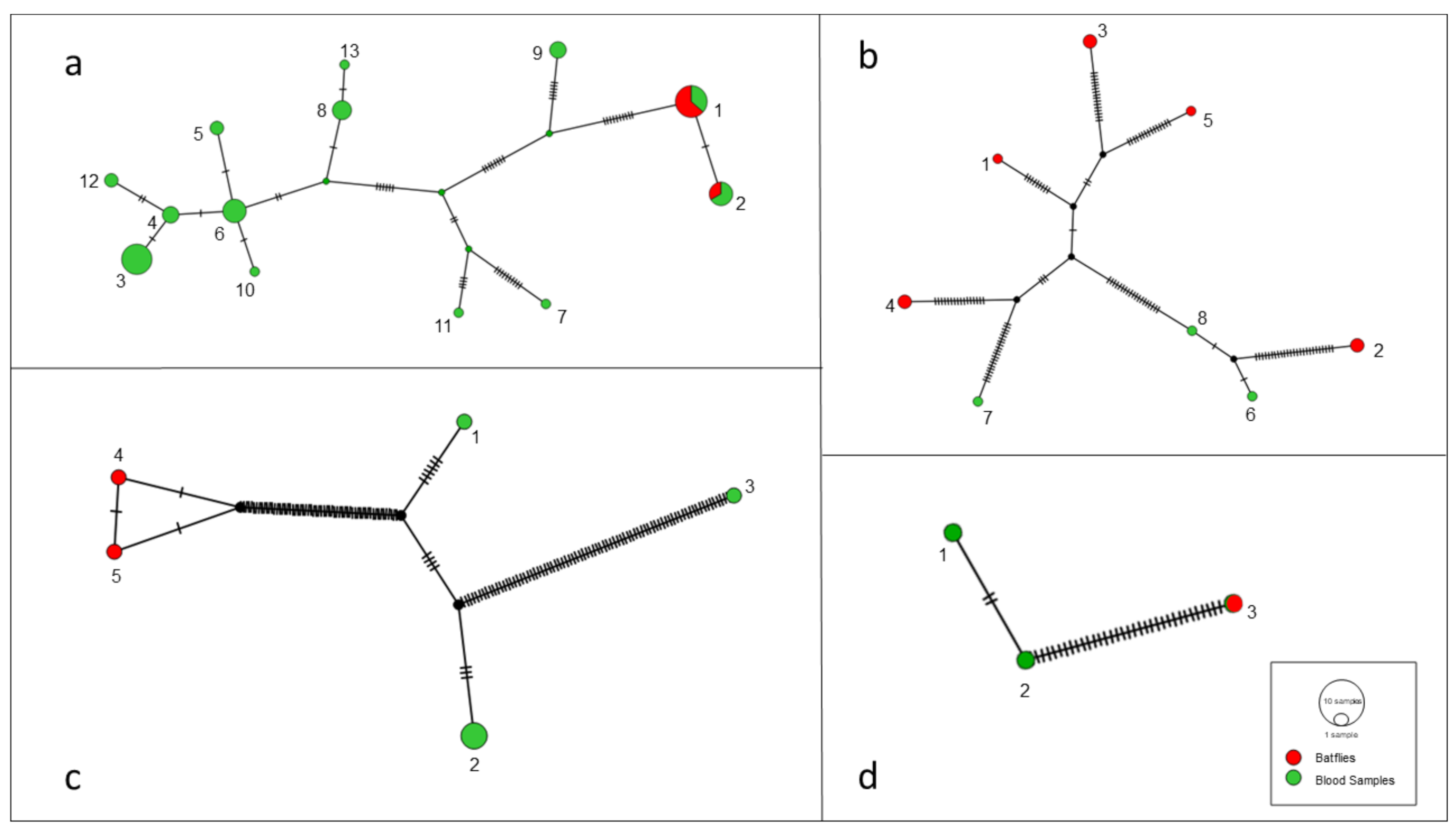 Microorganisms 08 01822 g001 Microorganisms 08 01822 g001