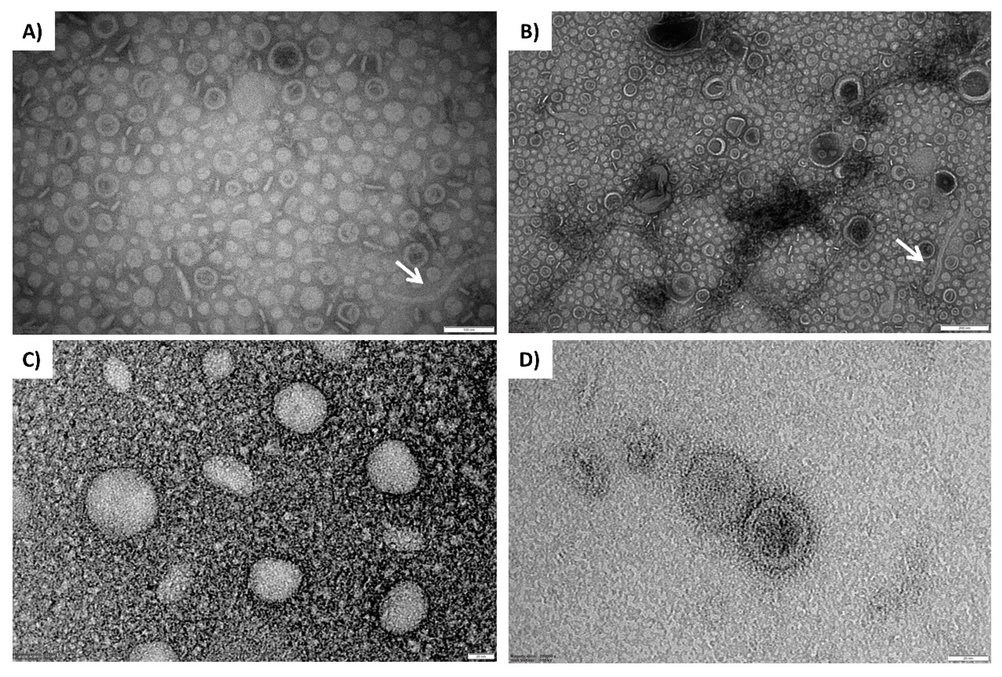 Microorganisms 08 01826 g002 Microorganisms 08 01826 g002