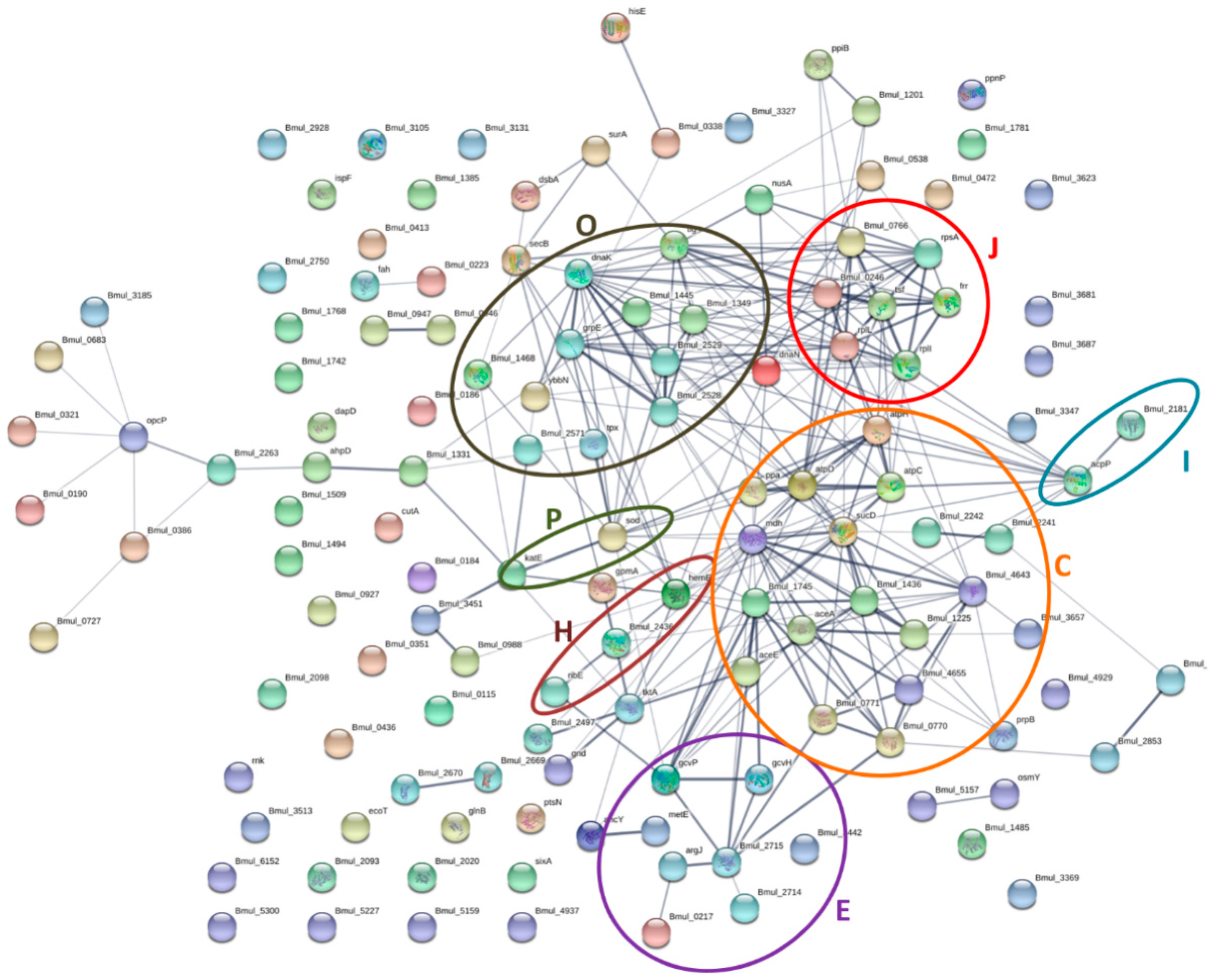Microorganisms 08 01826 g006 Microorganisms 08 01826 g006