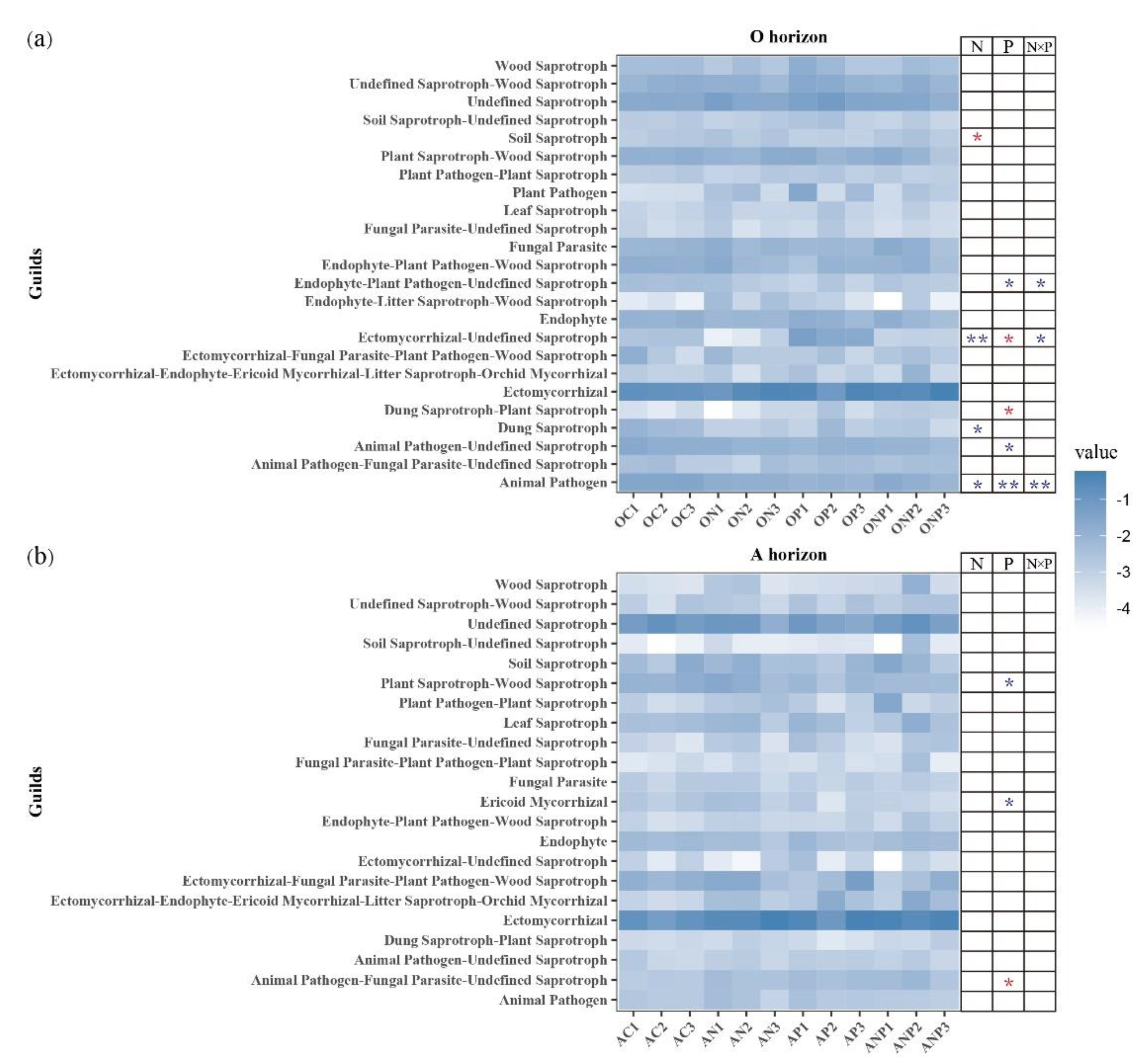 Microorganisms 08 01828 g006