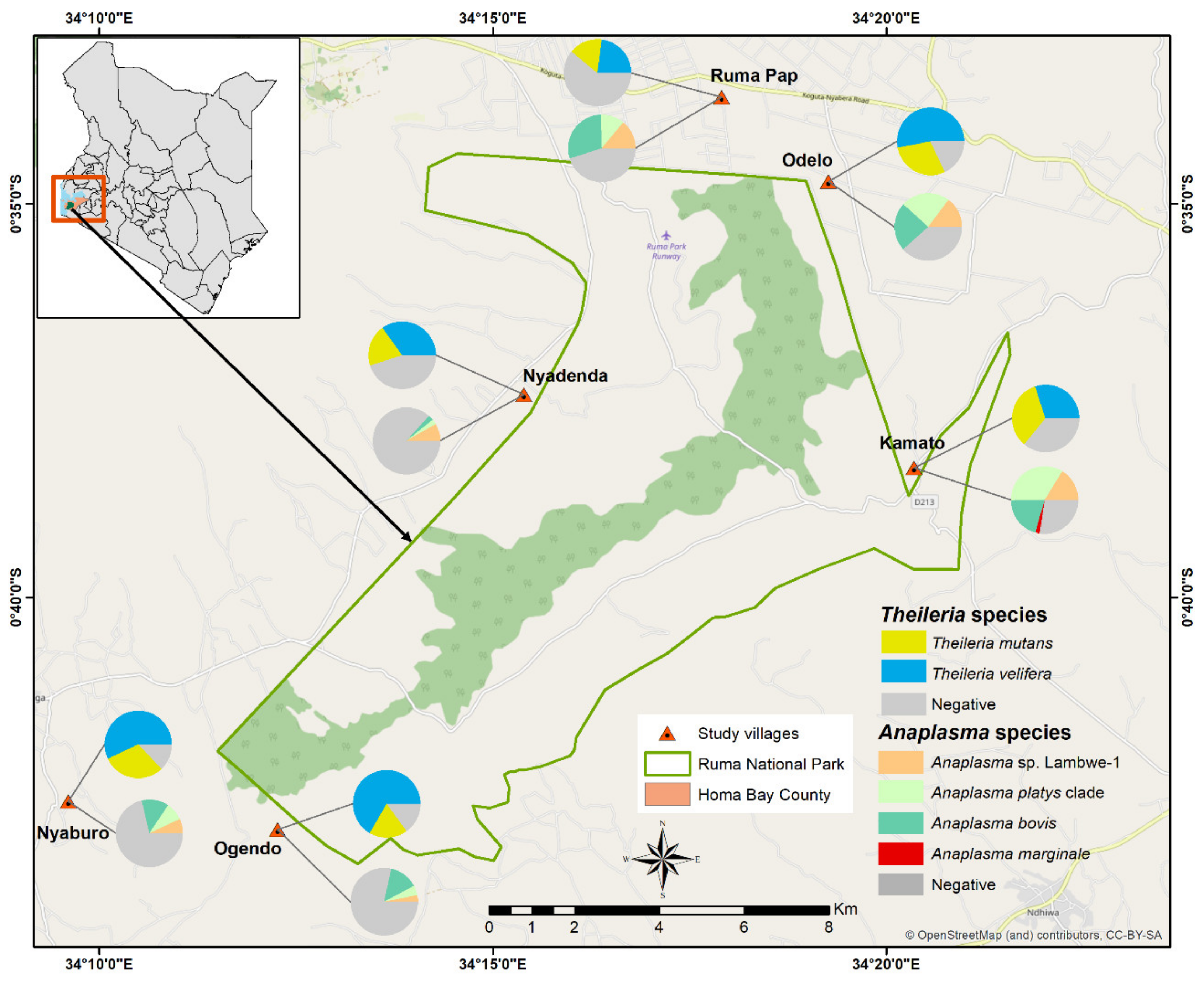 Microorganisms 08 01830 g001