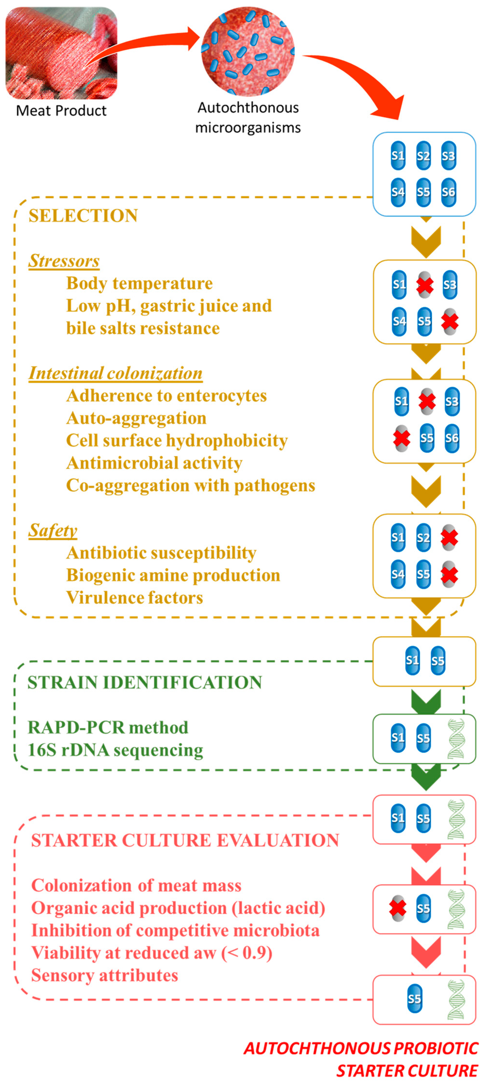 Microorganisms 08 01833 g001 Microorganisms 08 01833 g001