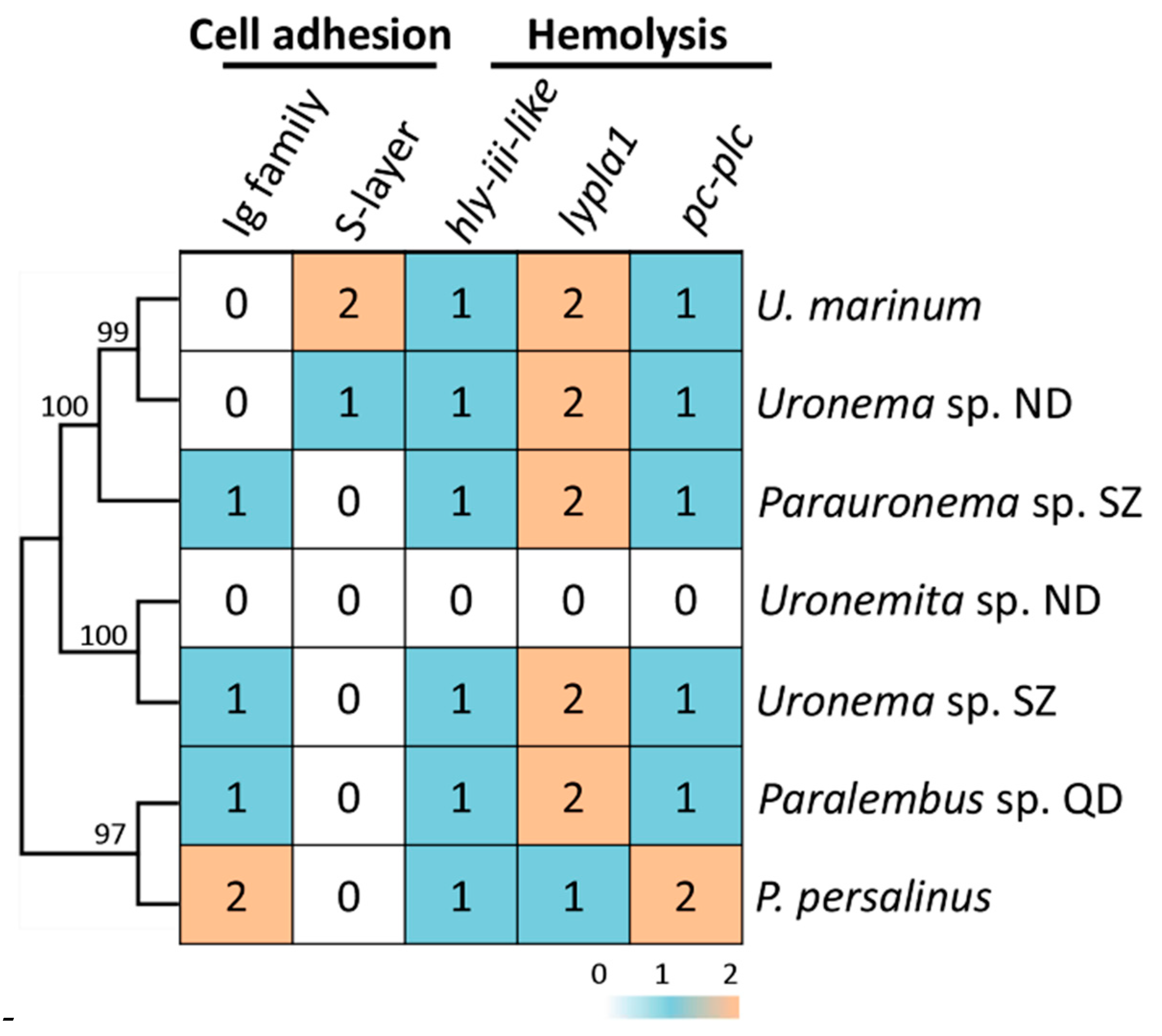Microorganisms 08 01838 g004 Microorganisms 08 01838 g004