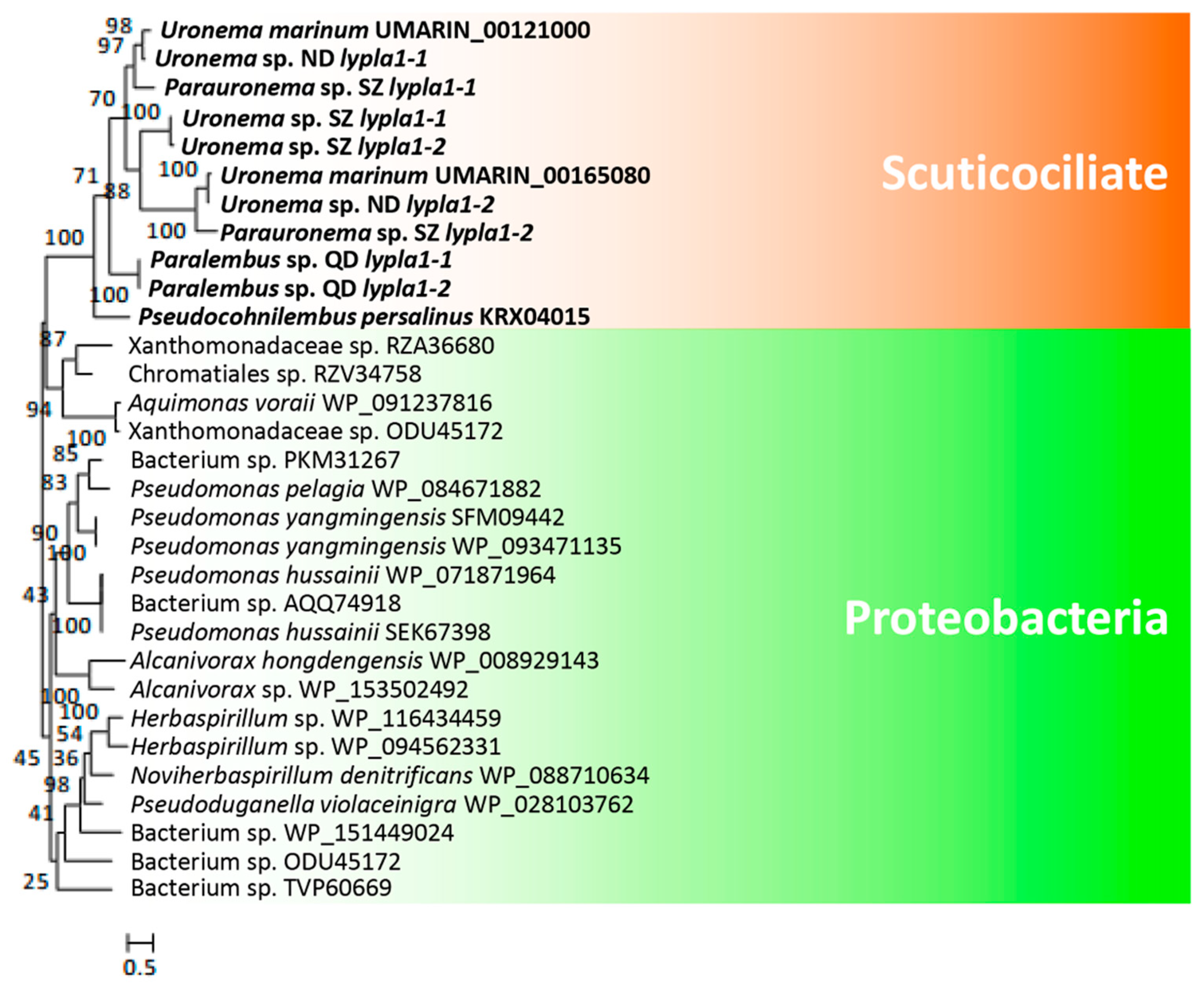 Microorganisms 08 01838 g006 Microorganisms 08 01838 g006