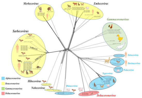 【Beck and call】Dot vector Tee Frontiers | Personalized Immunotherapy in Colorectal Cancers