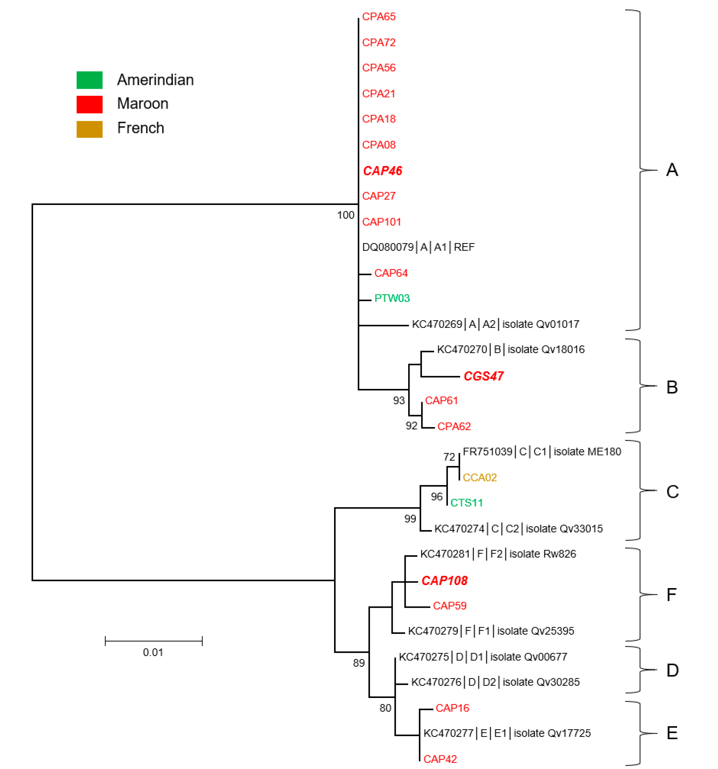 Microorganisms 08 01842 g006