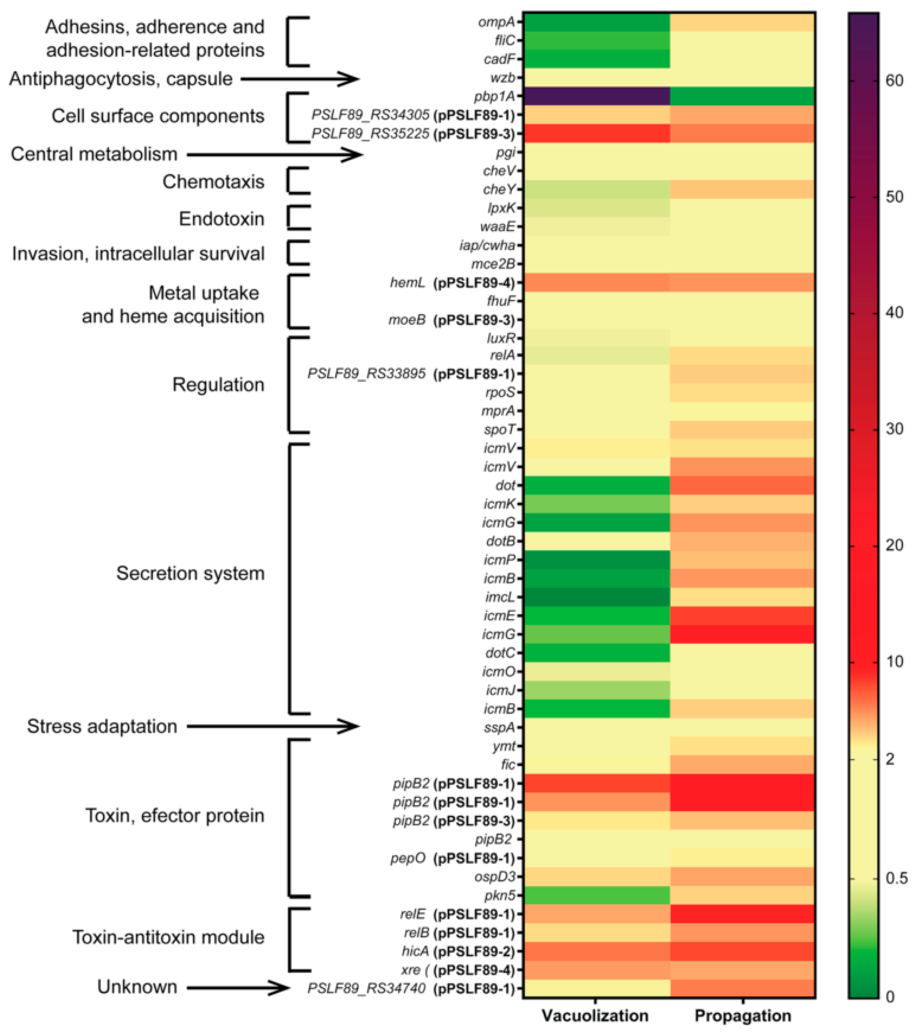 Microorganisms 08 01845 g007 Microorganisms 08 01845 g007