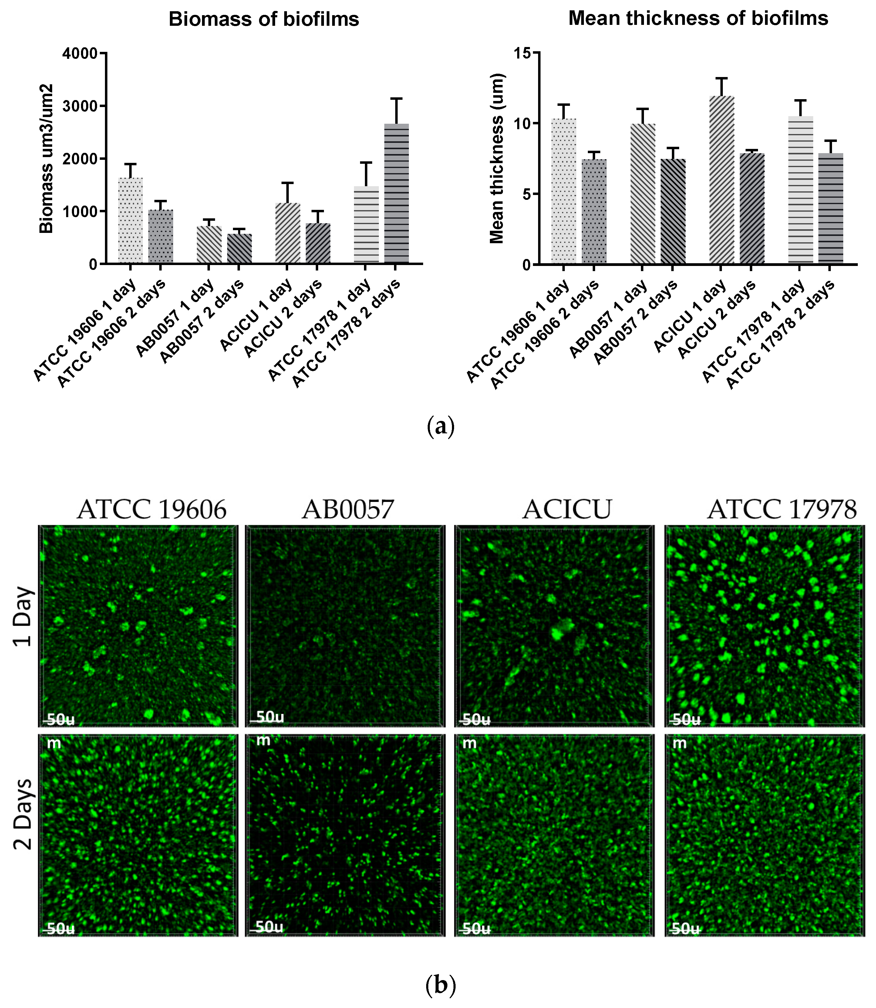 Microorganisms 08 01851 g005 Microorganisms 08 01851 g005