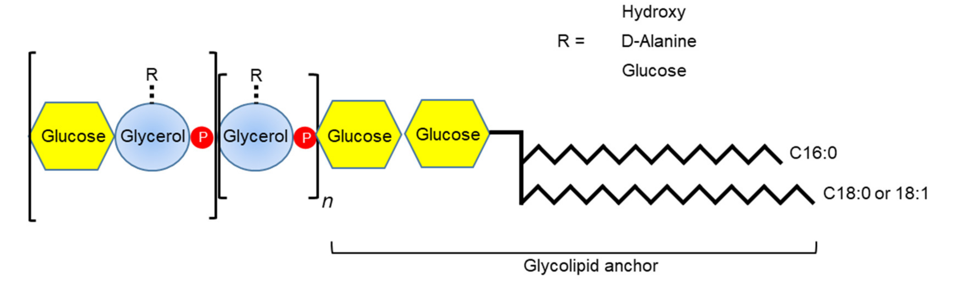 Microorganisms 08 01852 g006