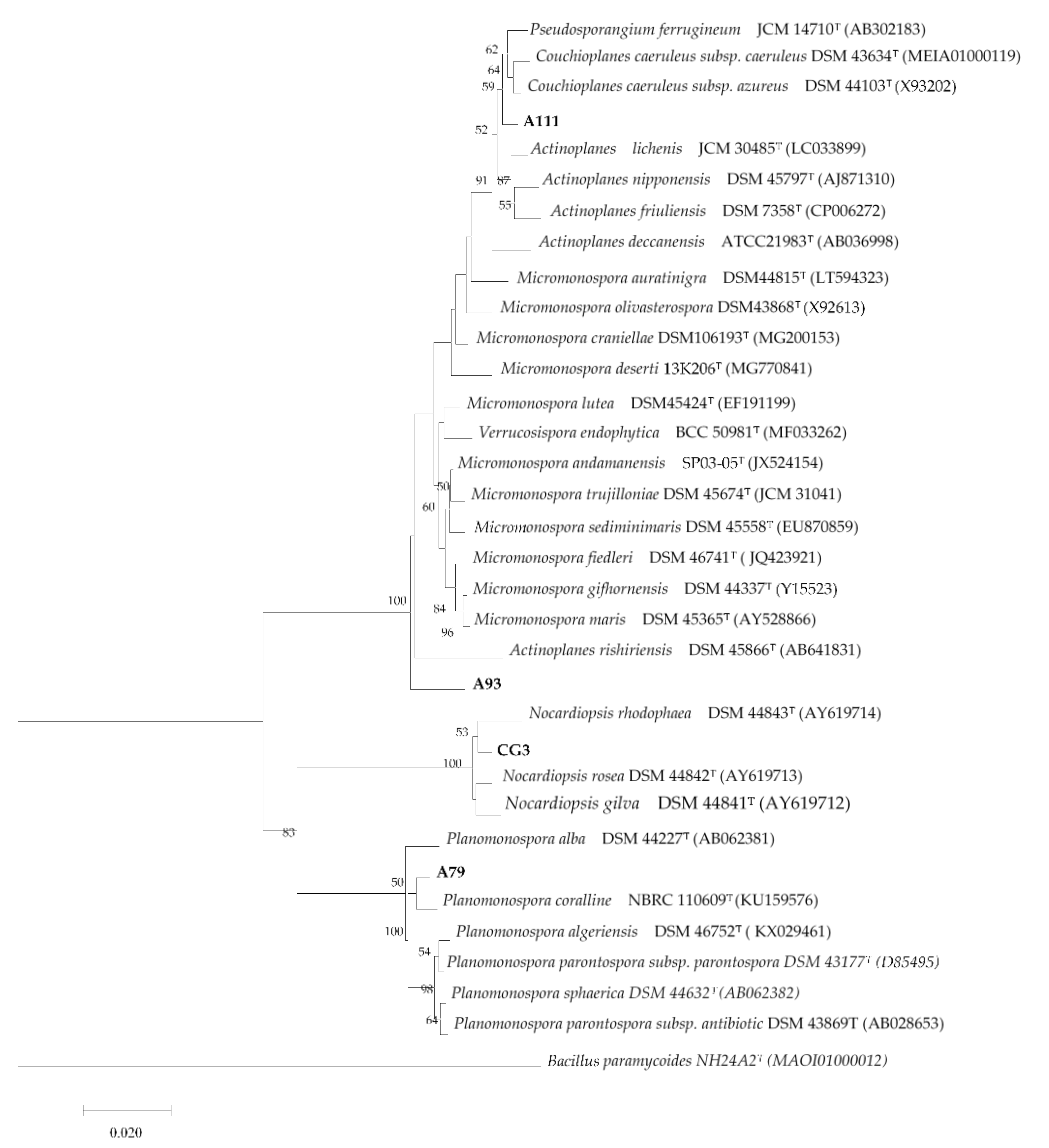 Microorganisms 08 01853 g001