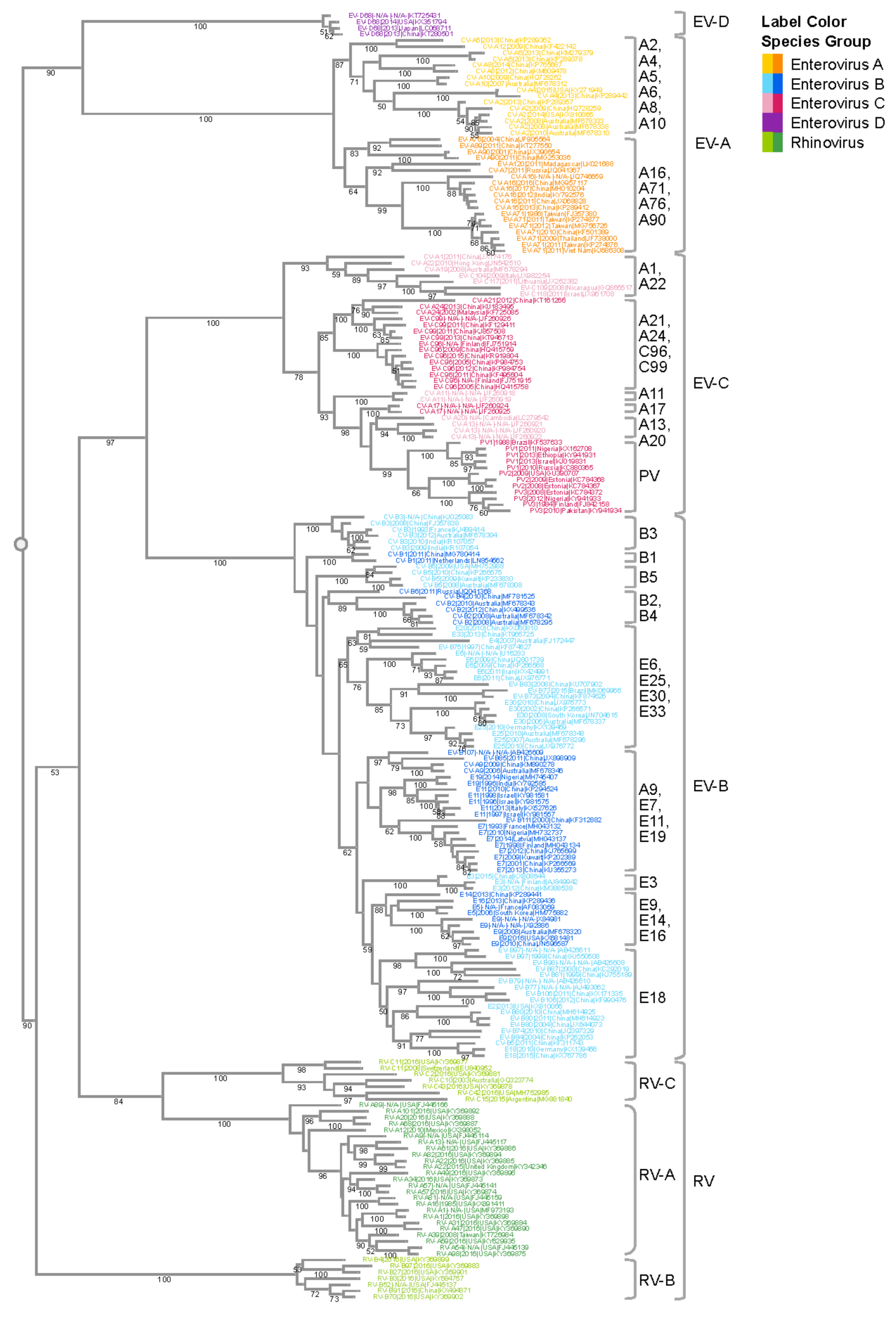 Microorganisms 08 01856 g001