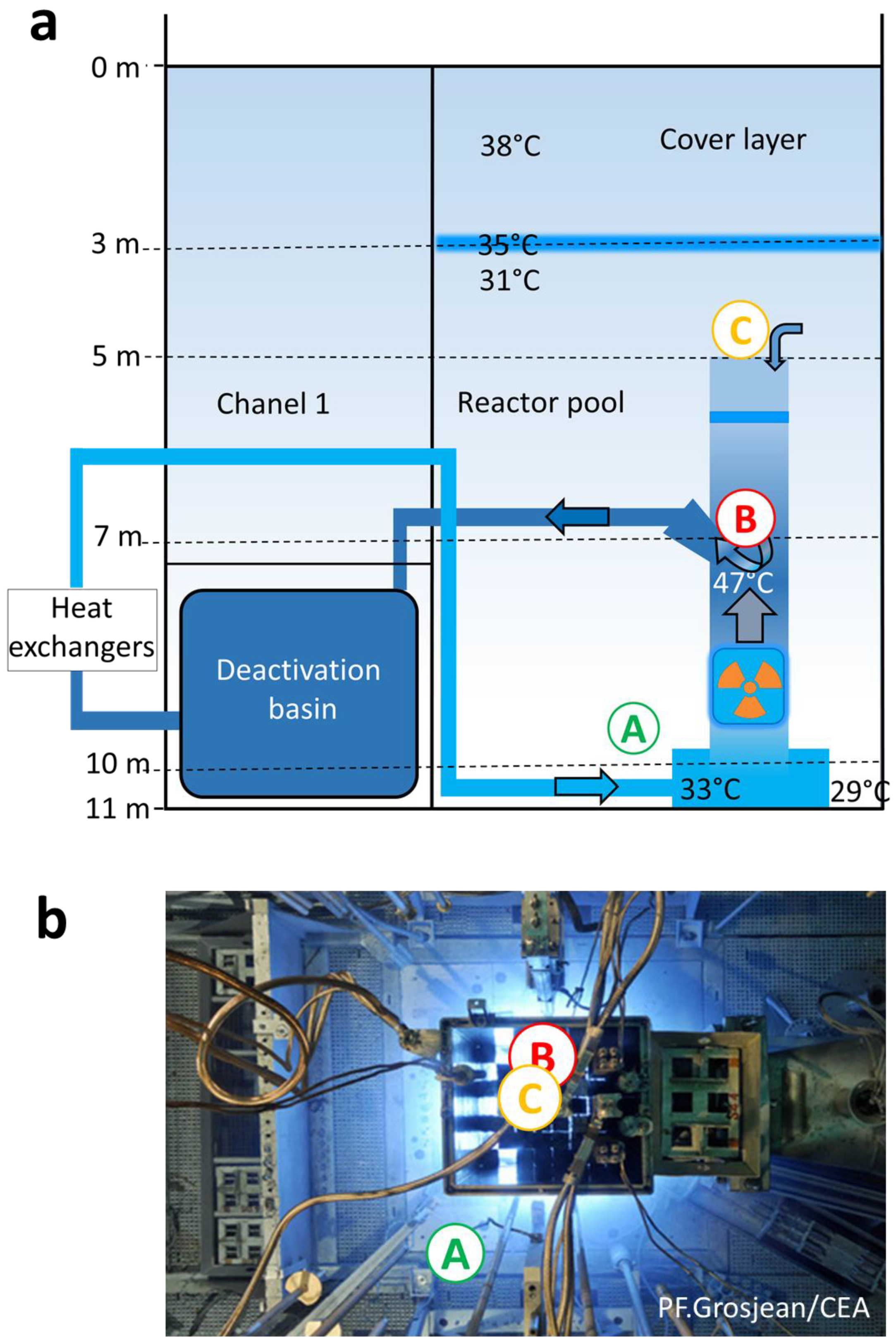Microorganisms 08 01857 g001