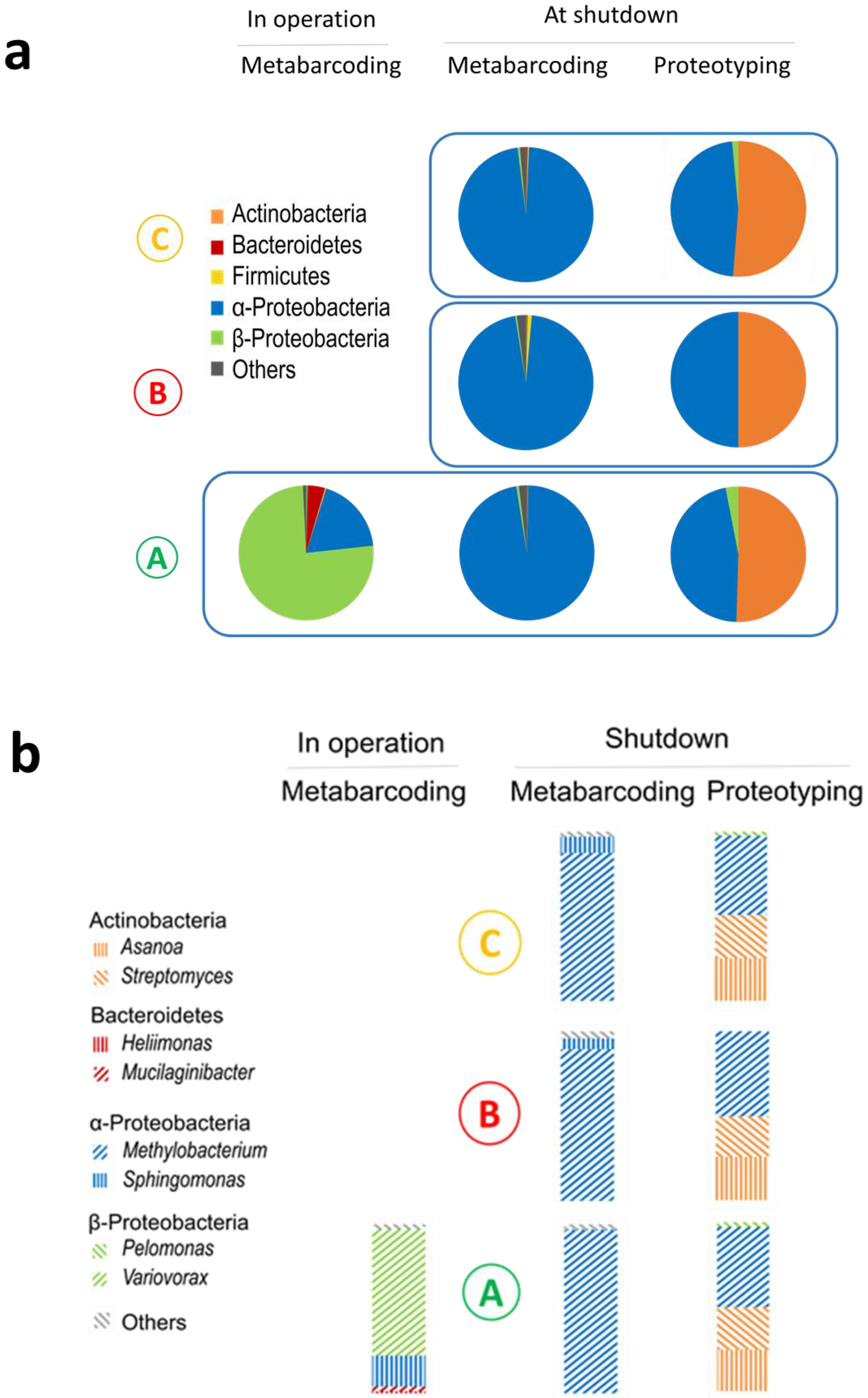 Microorganisms 08 01857 g002