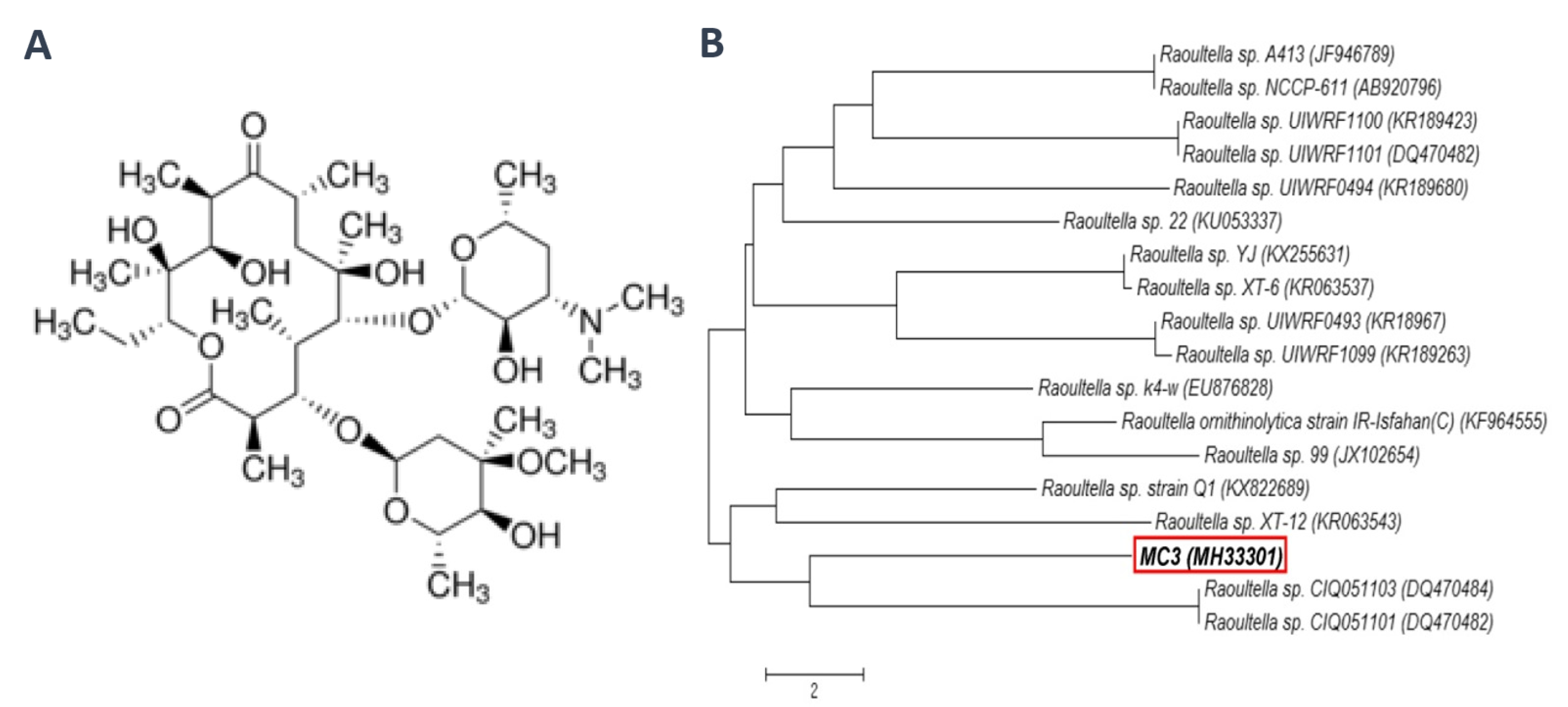 Microorganisms 08 01860 g001