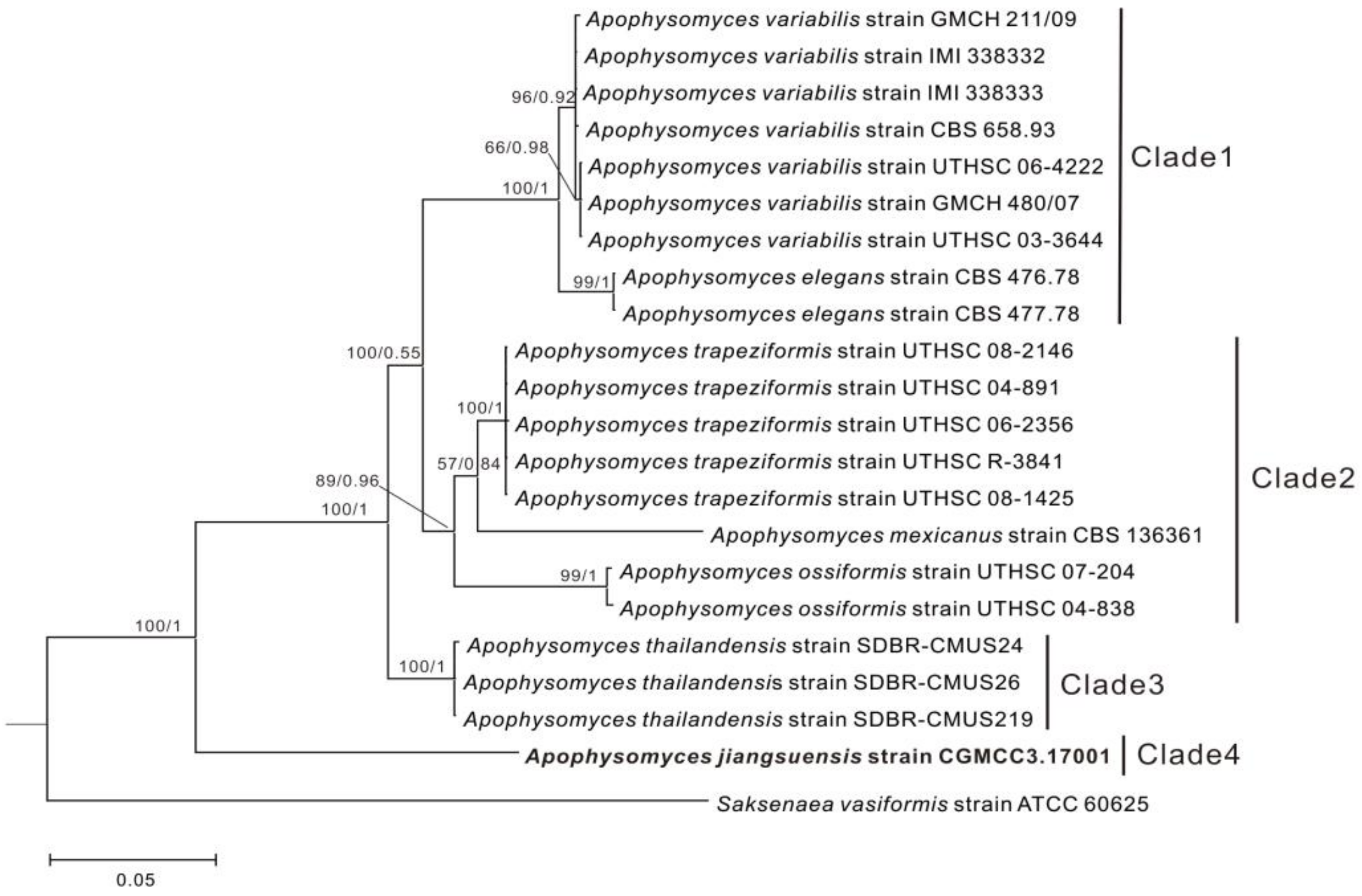 Microorganisms 08 01868 g001 Microorganisms 08 01868 g001