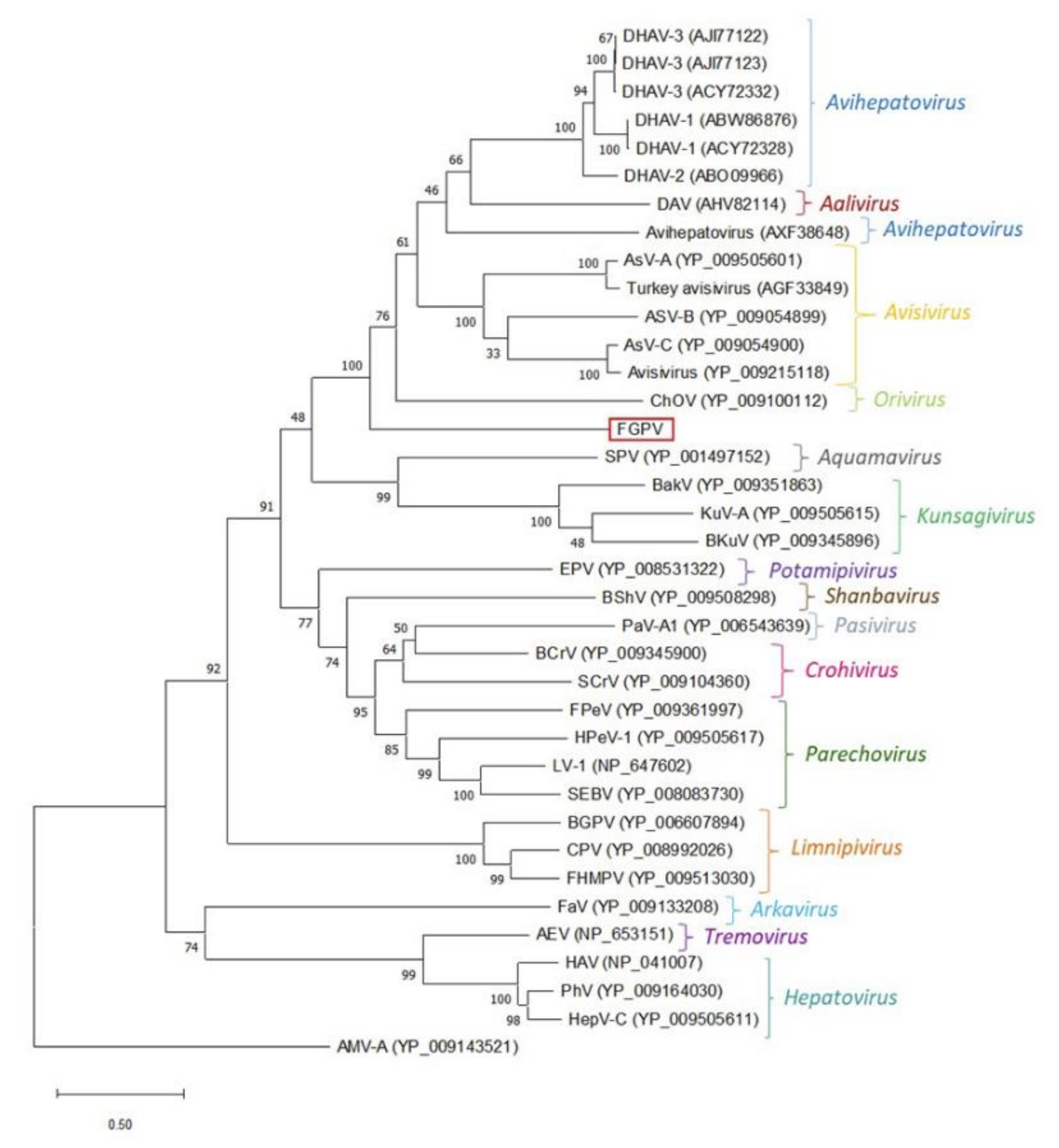 Microorganisms 08 01869 g0a1