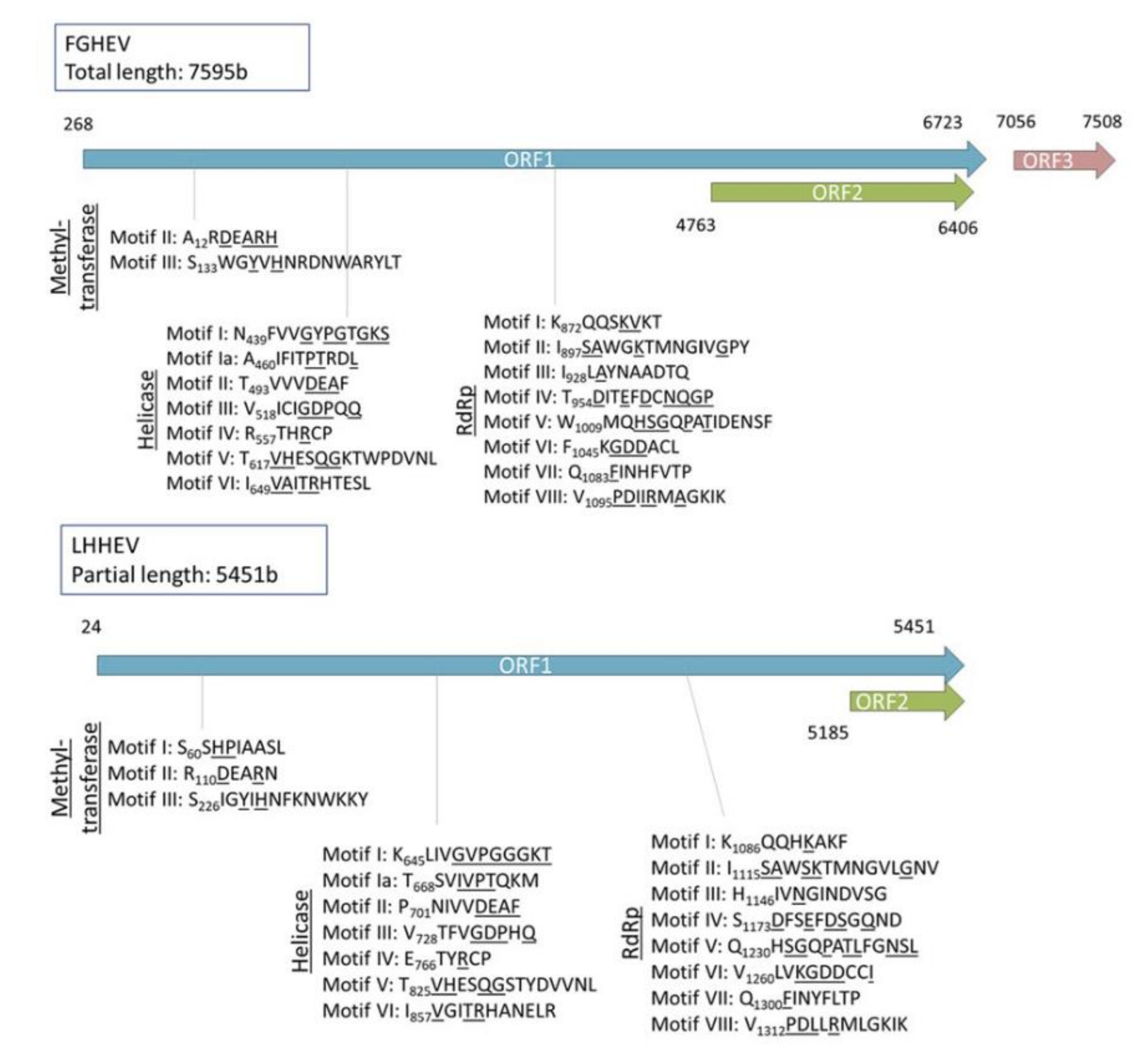 Microorganisms 08 01869 g0a3