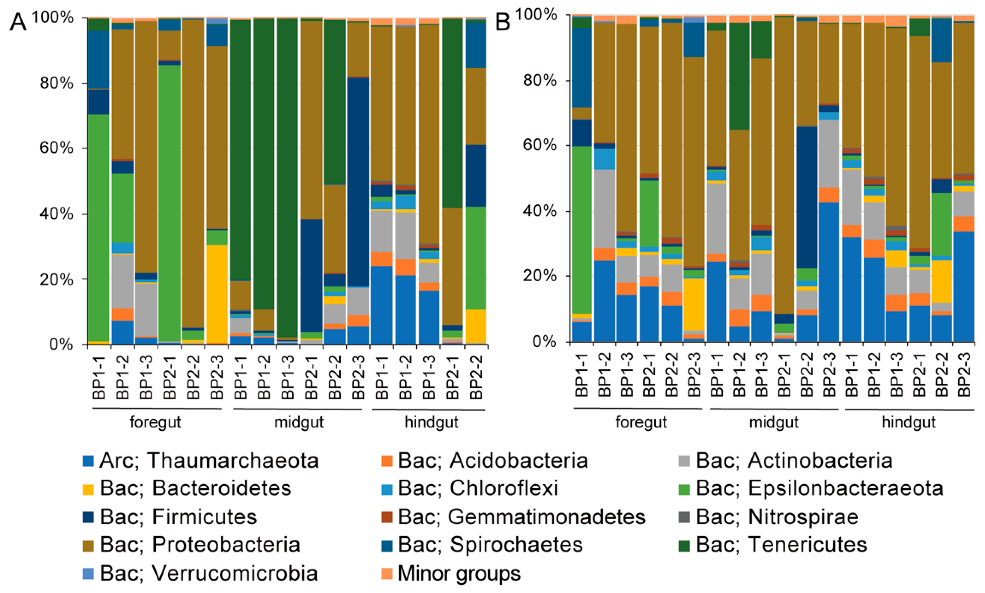 Microorganisms 08 01874 g001 Microorganisms 08 01874 g001