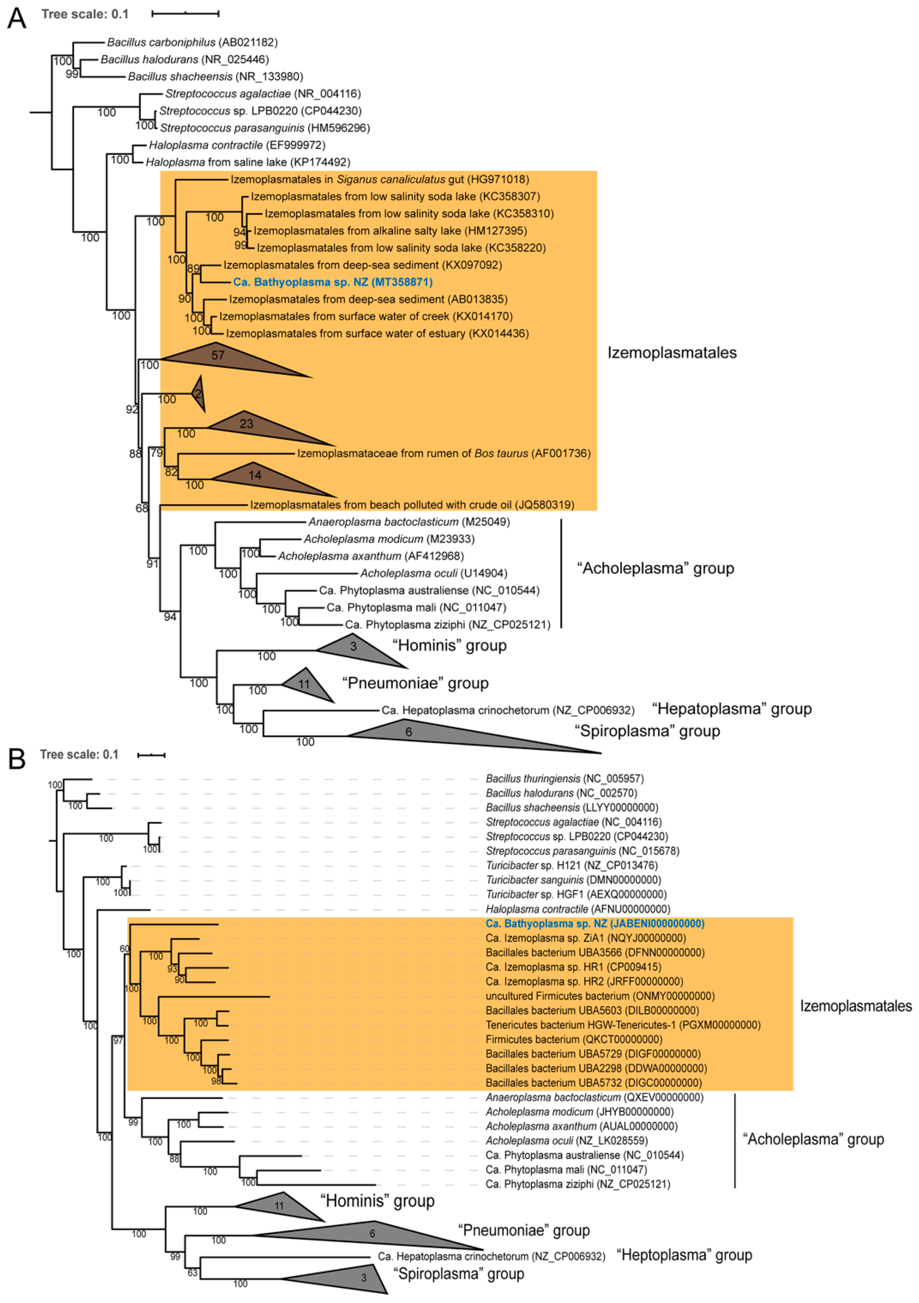 Microorganisms 08 01874 g002 Microorganisms 08 01874 g002