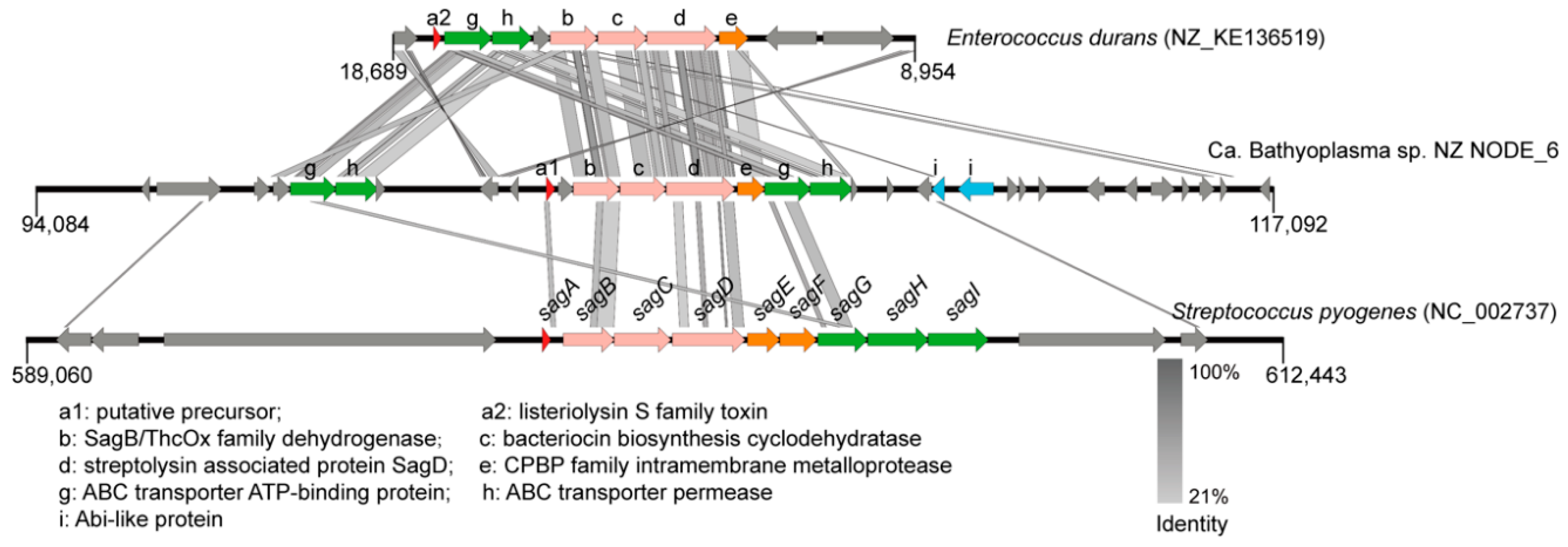 Microorganisms 08 01874 g005 Microorganisms 08 01874 g005