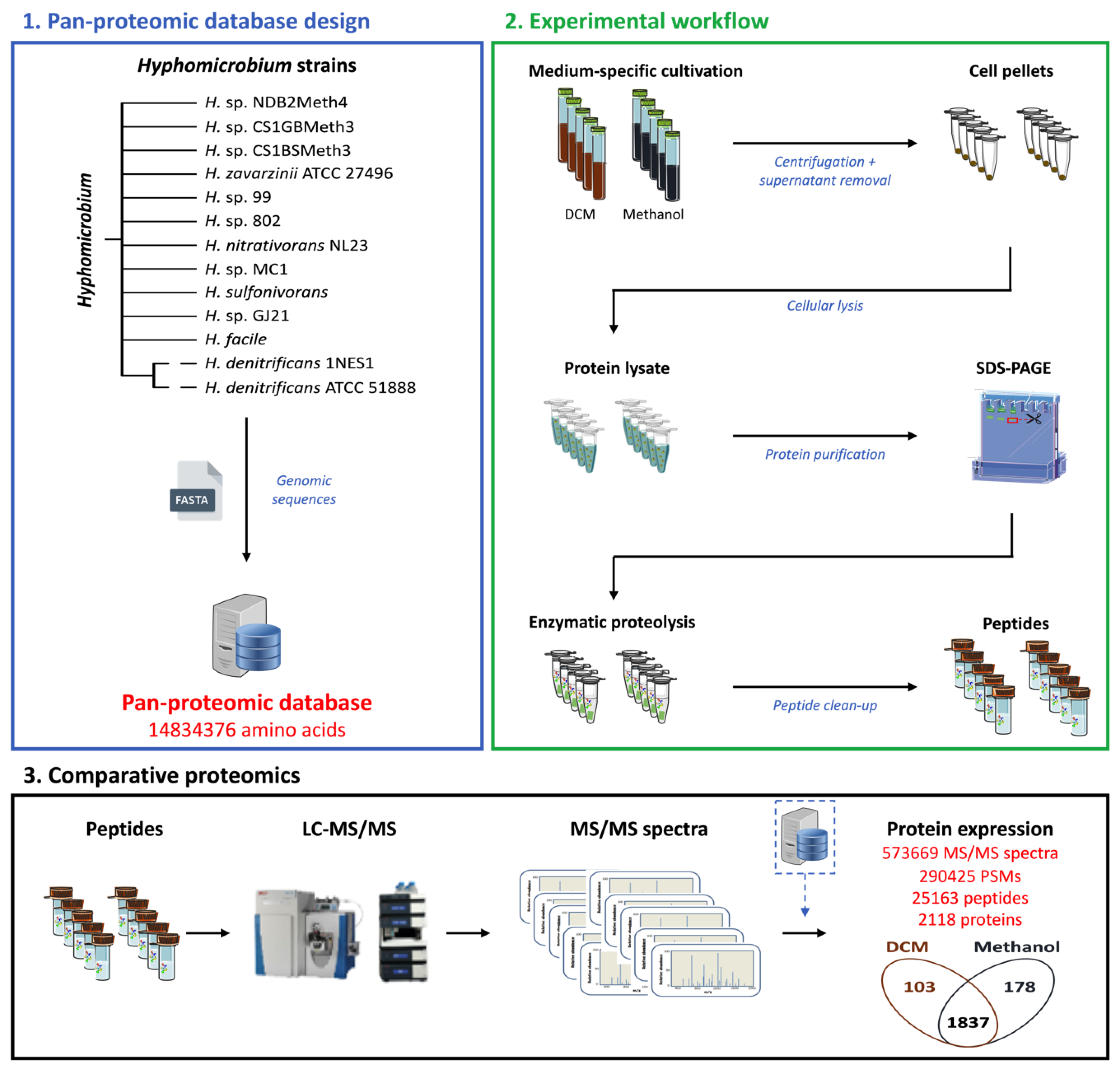 Microorganisms 08 01876 g001