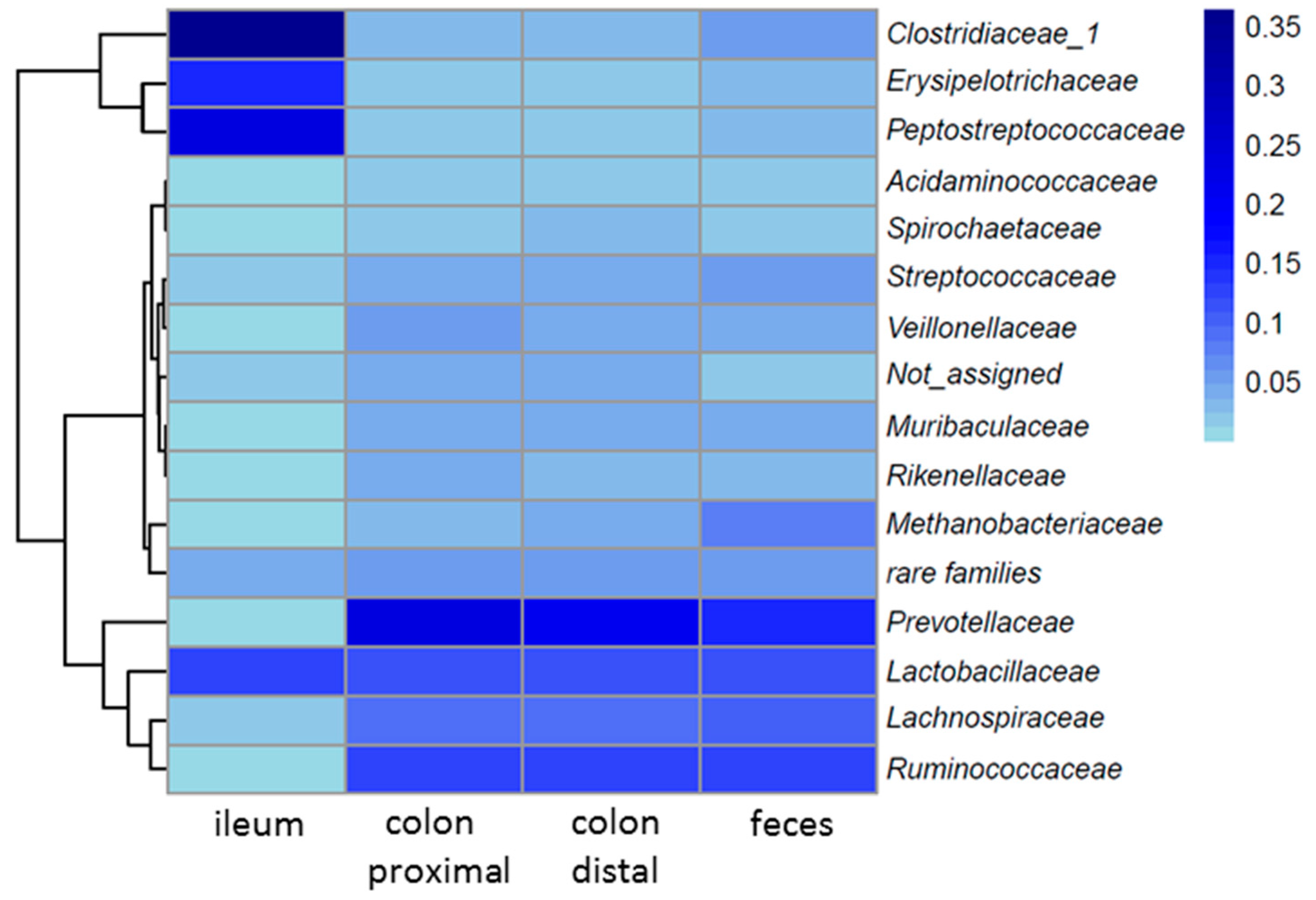 Microorganisms 08 01887 g004 Microorganisms 08 01887 g004