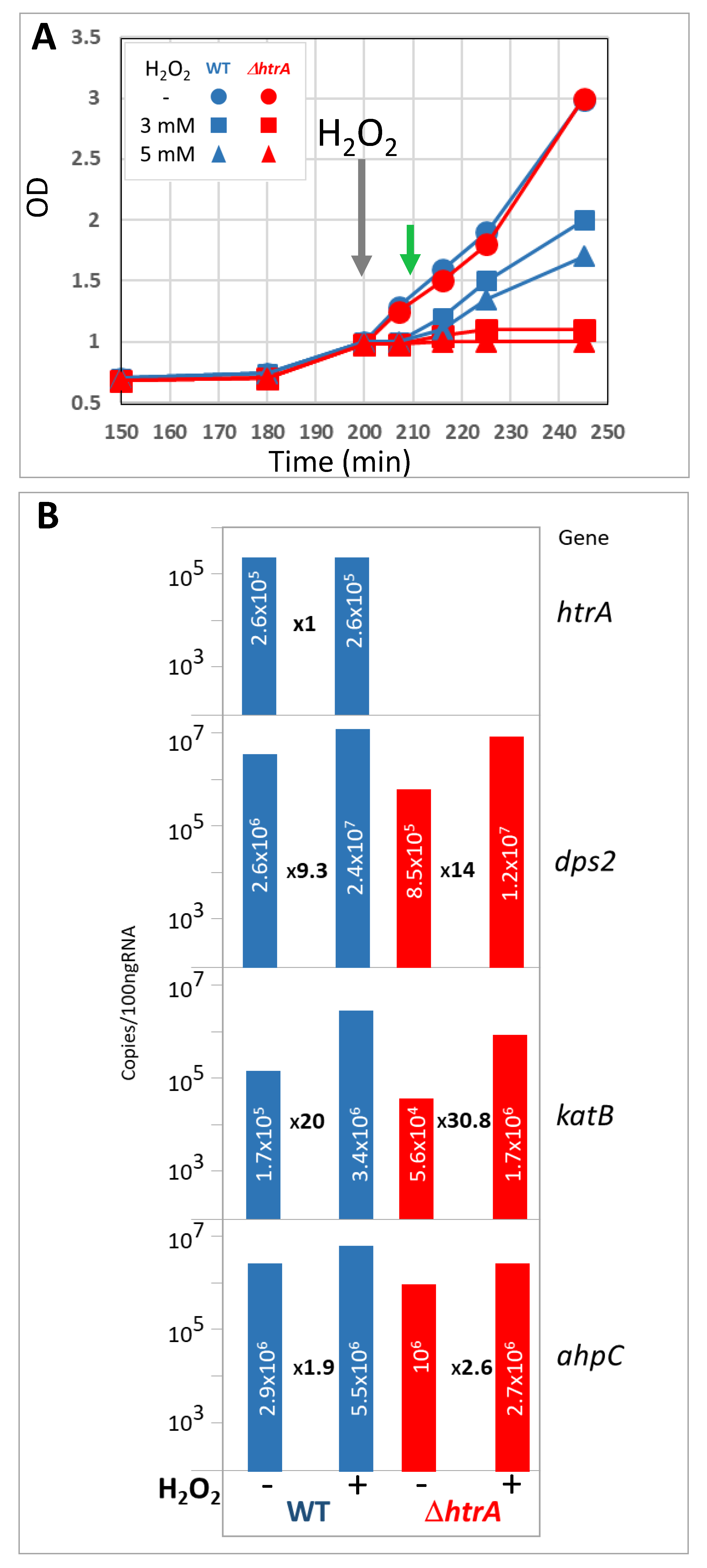 Microorganisms 08 01896 g001 Microorganisms 08 01896 g001