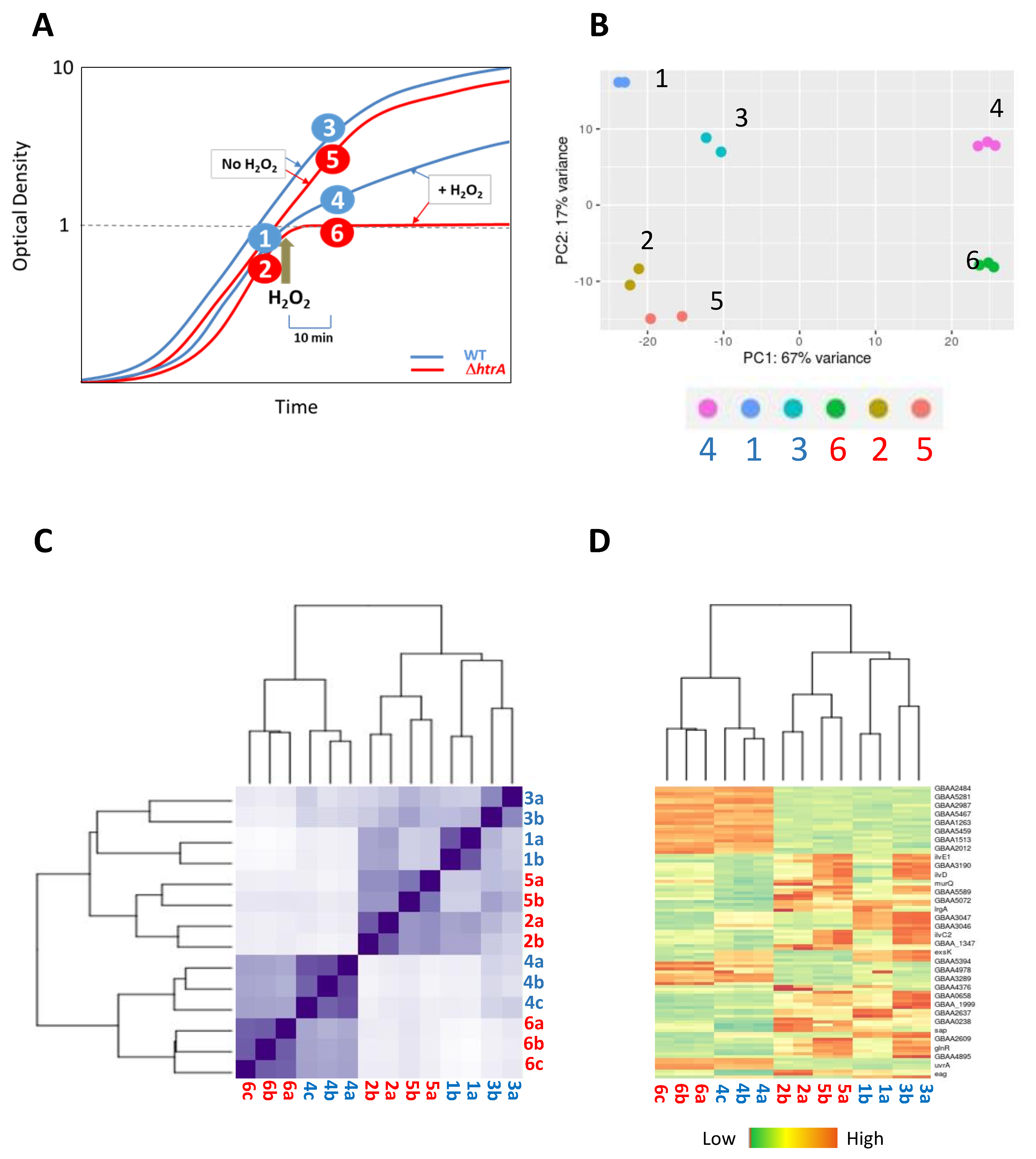 Microorganisms 08 01896 g002 Microorganisms 08 01896 g002