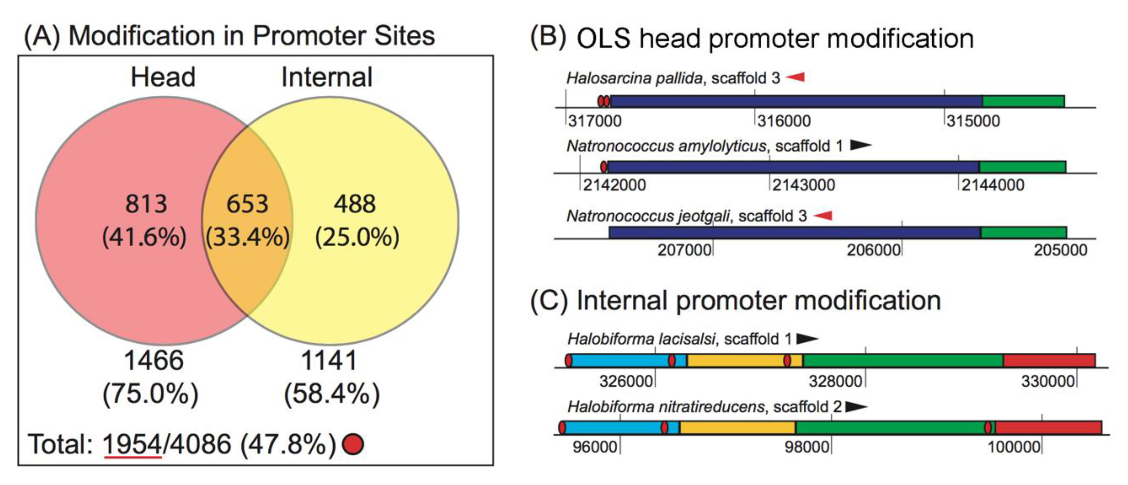 Microorganisms 08 01900 g006