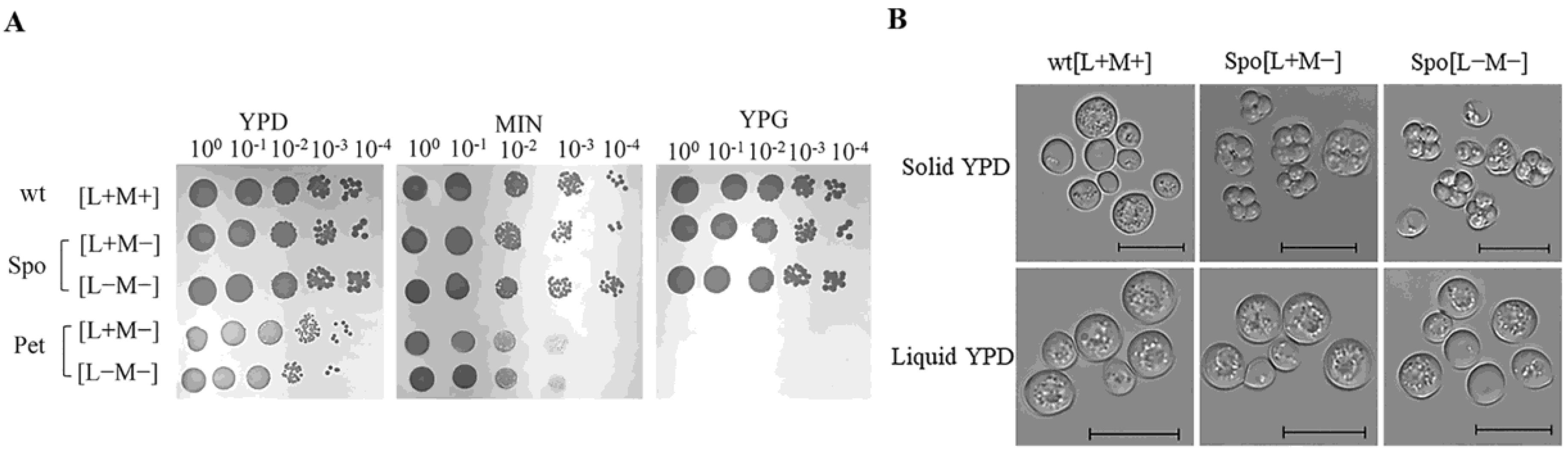 Microorganisms 08 01902 g001 Microorganisms 08 01902 g001