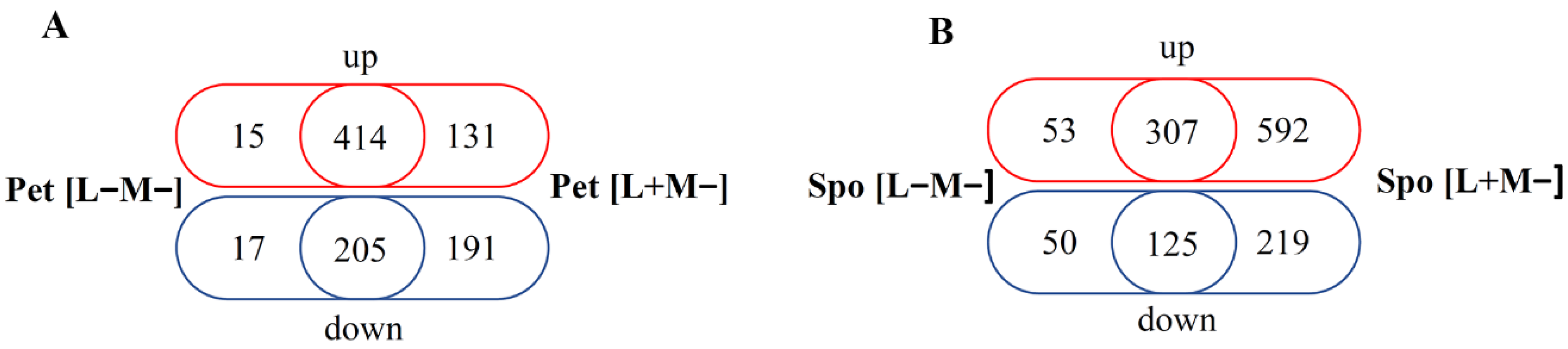 Microorganisms 08 01902 g003 Microorganisms 08 01902 g003