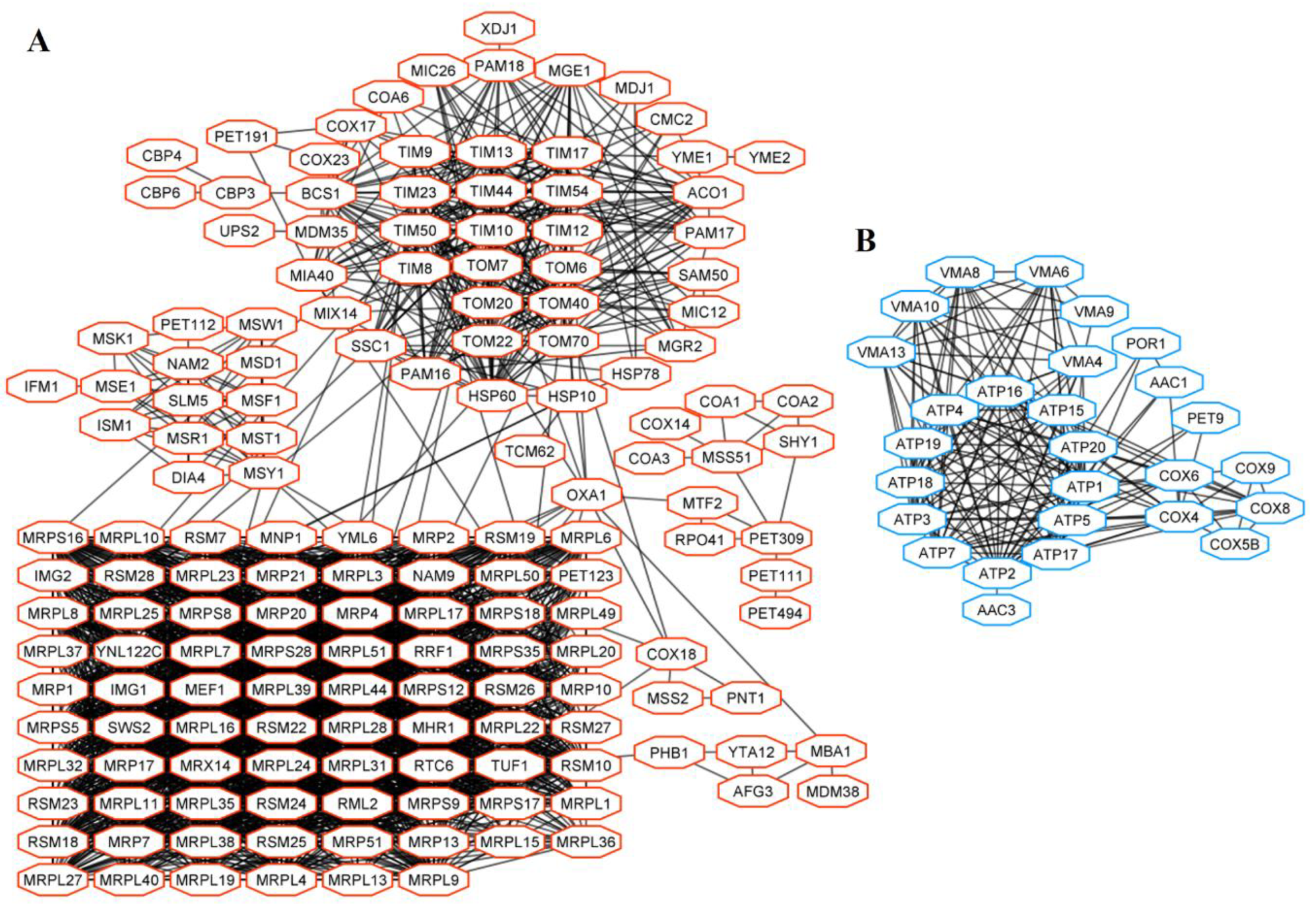 Microorganisms 08 01902 g005 Microorganisms 08 01902 g005