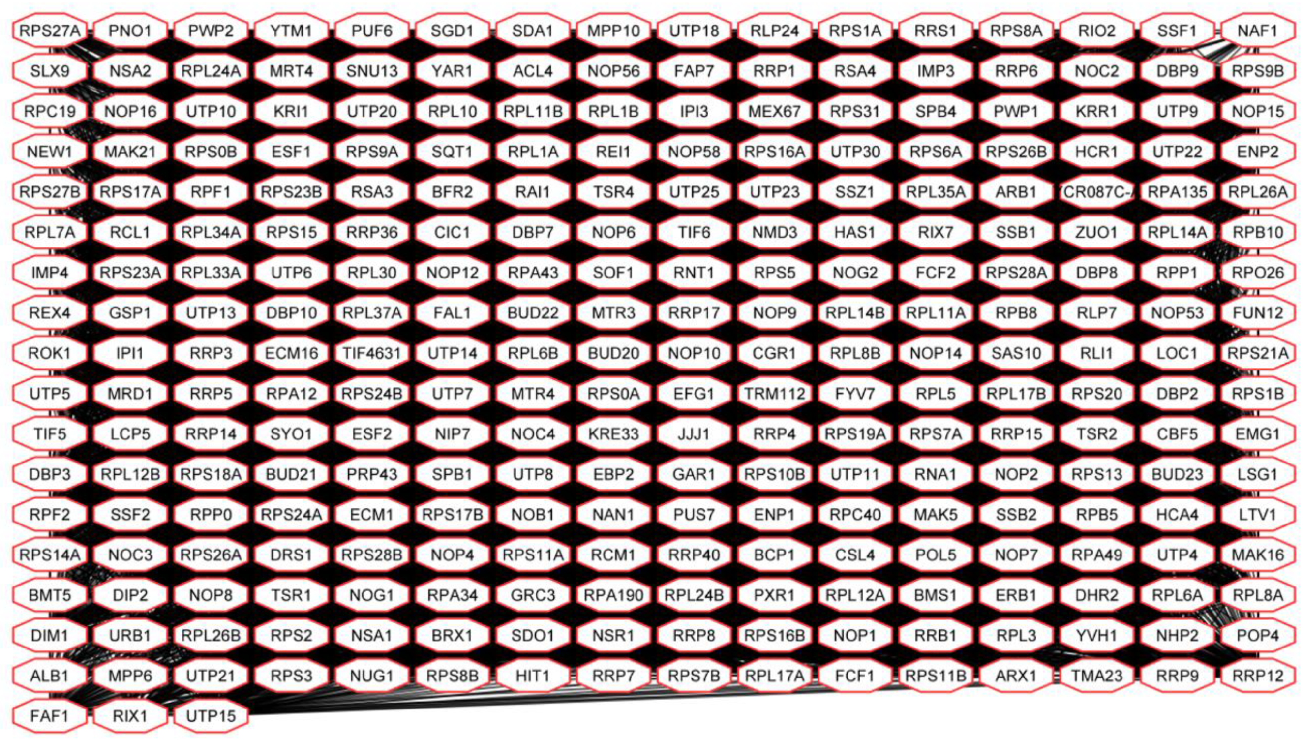 Microorganisms 08 01902 g006 Microorganisms 08 01902 g006