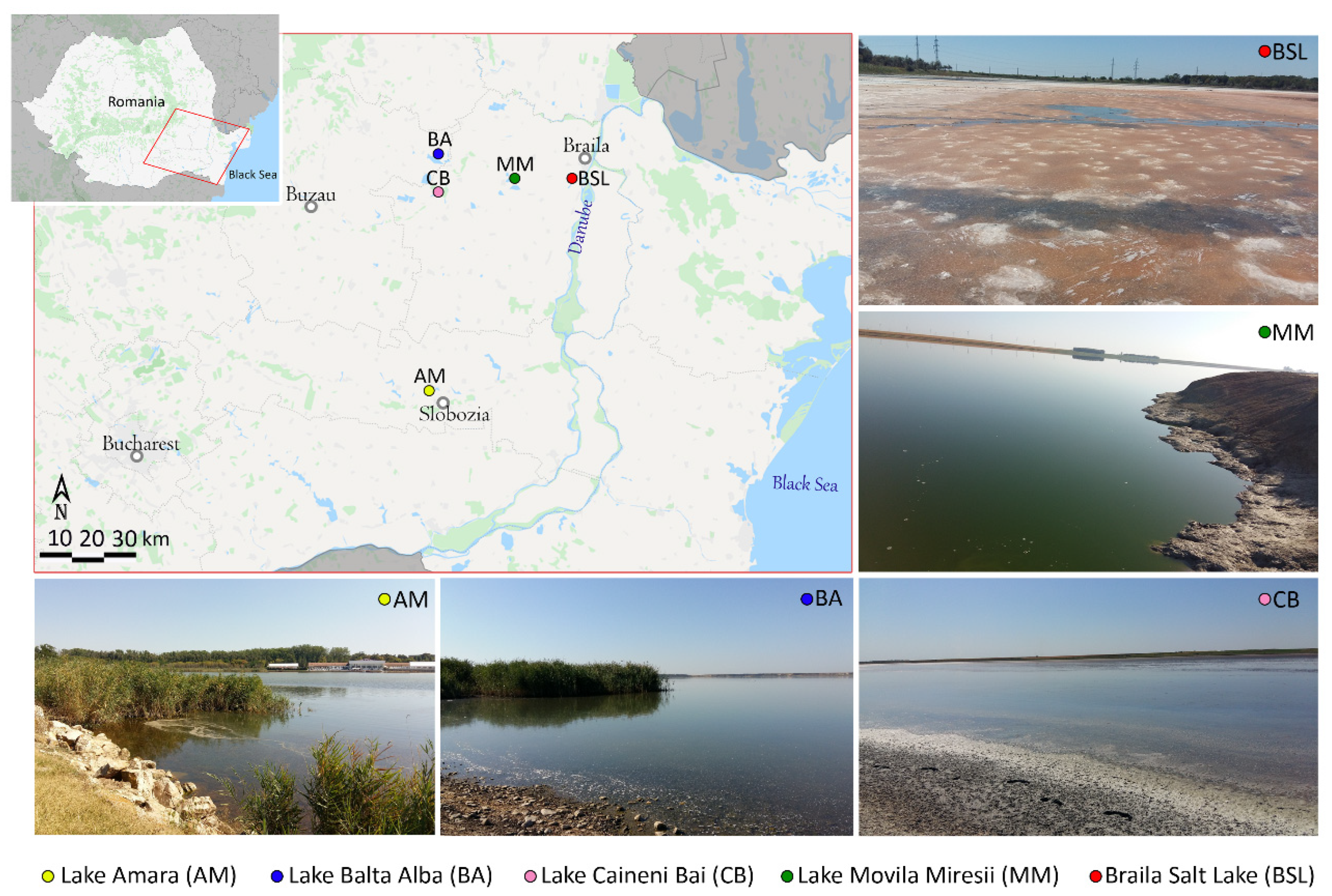Microorganisms 08 01903 g001 Microorganisms 08 01903 g001