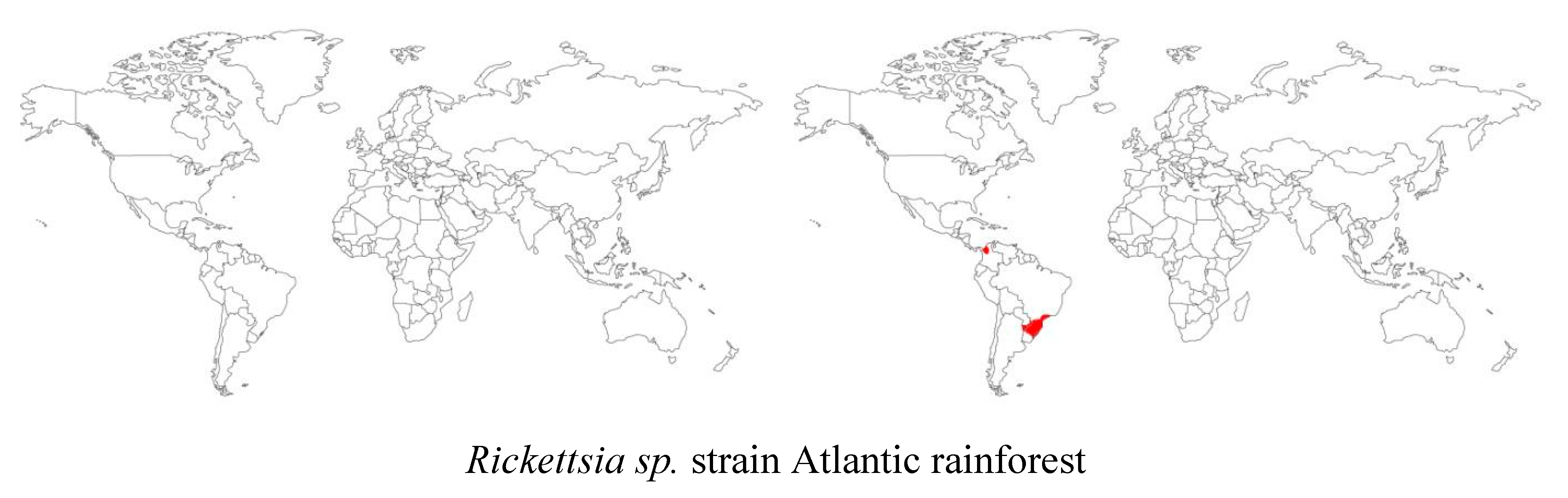 Microorganisms 08 01906 g002g