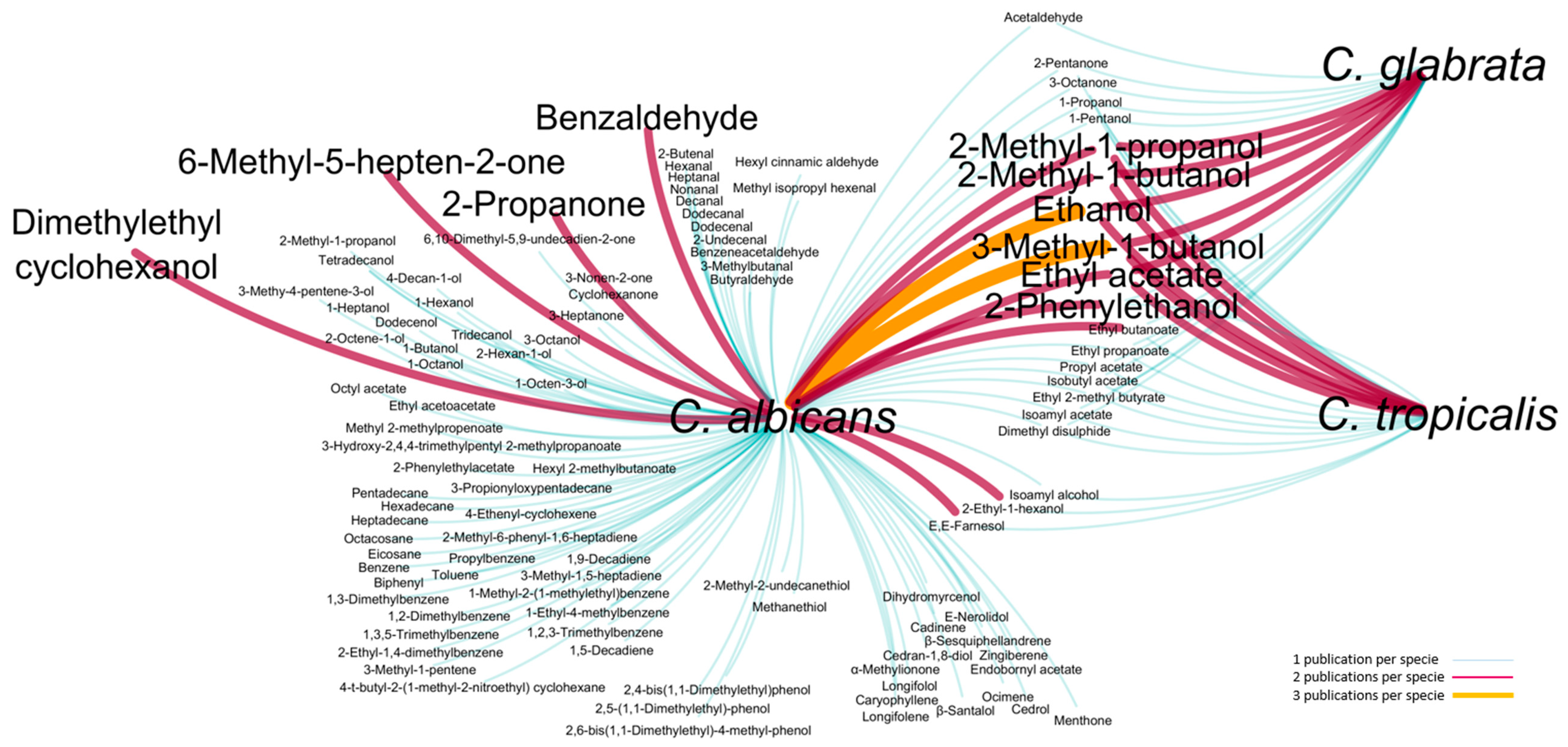 Microorganisms 08 01911 g001 Microorganisms 08 01911 g001