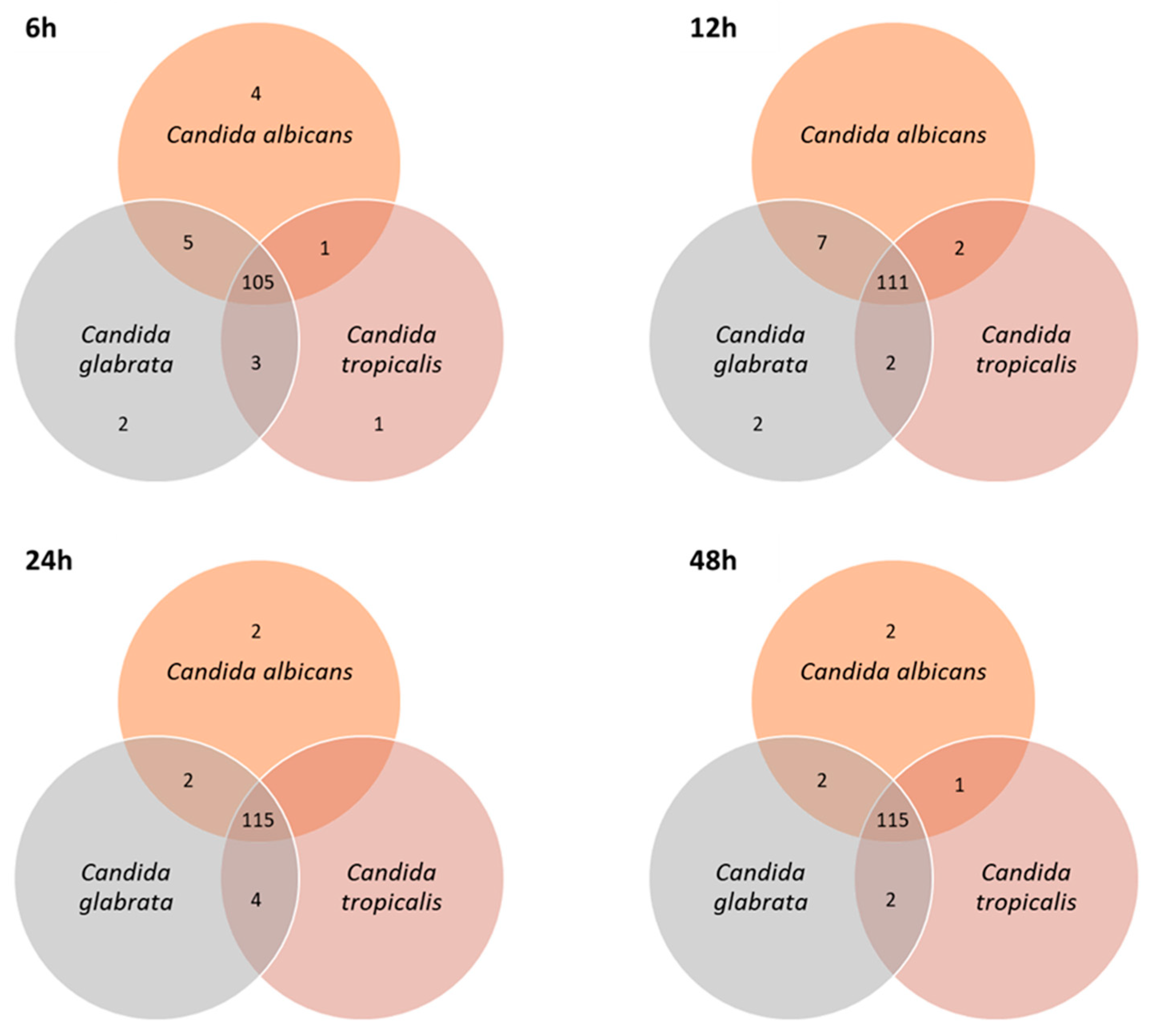 Microorganisms 08 01911 g005 Microorganisms 08 01911 g005