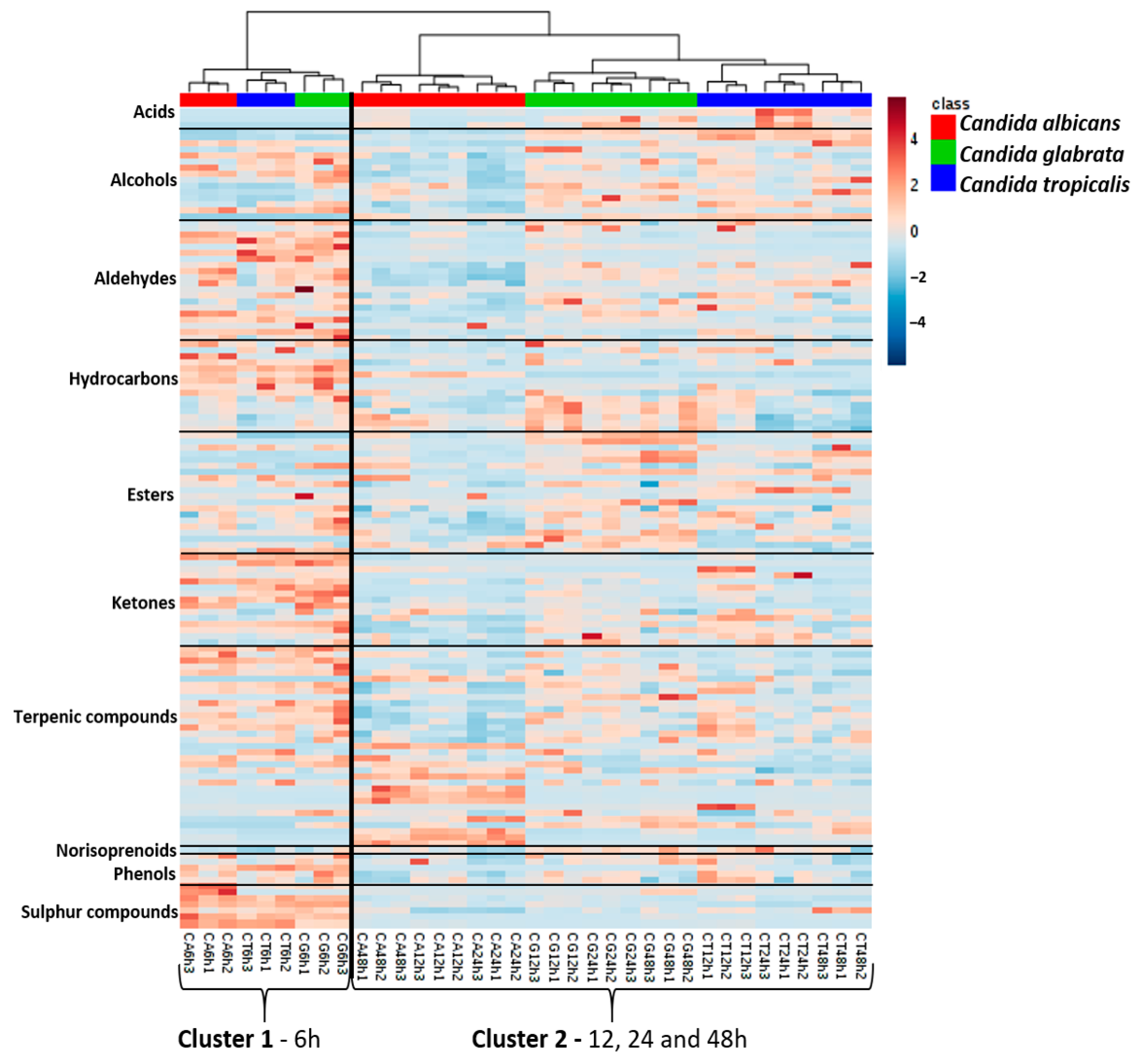 Microorganisms 08 01911 g006 Microorganisms 08 01911 g006