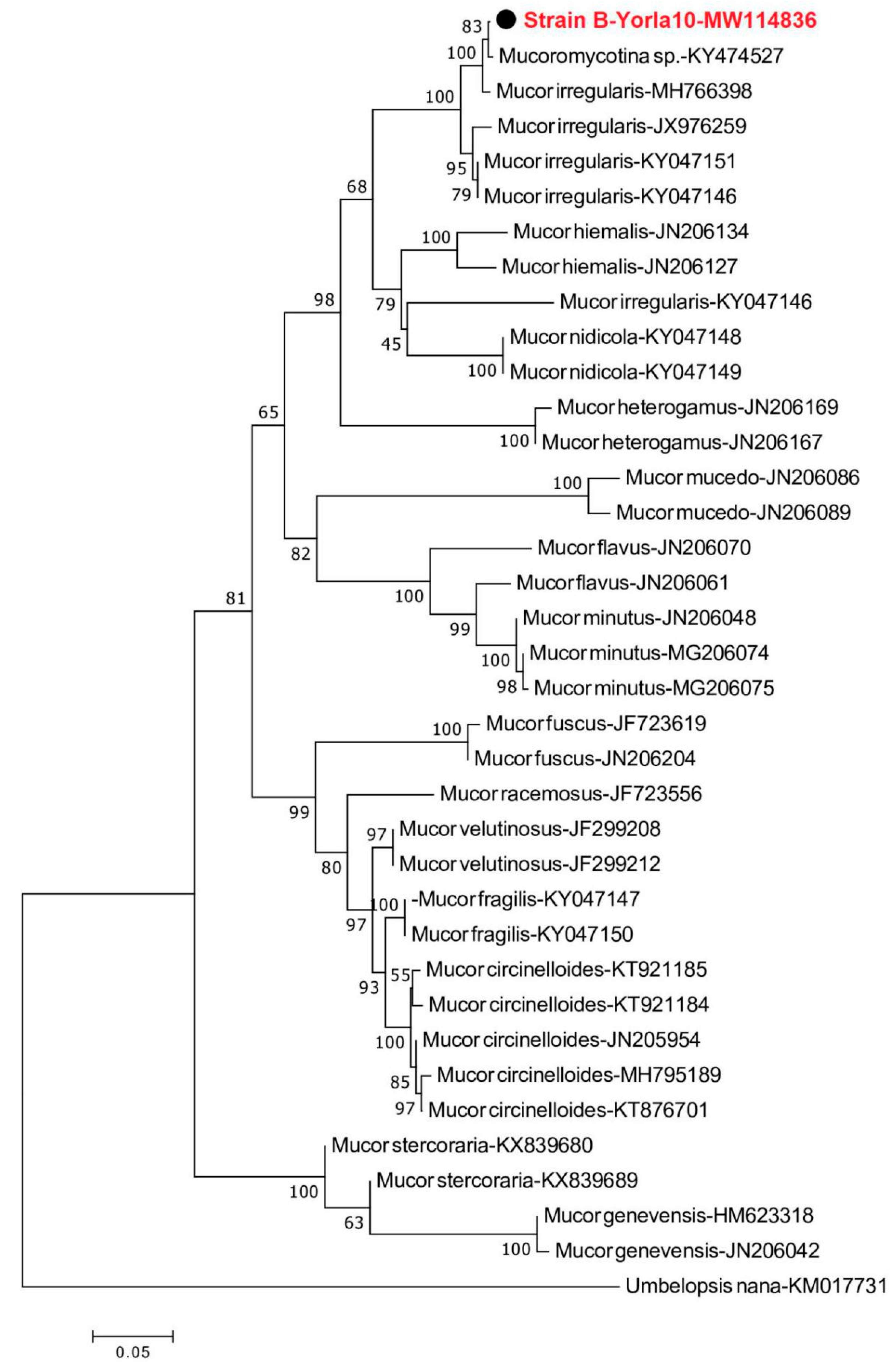 Microorganisms 08 01912 g001 Microorganisms 08 01912 g001