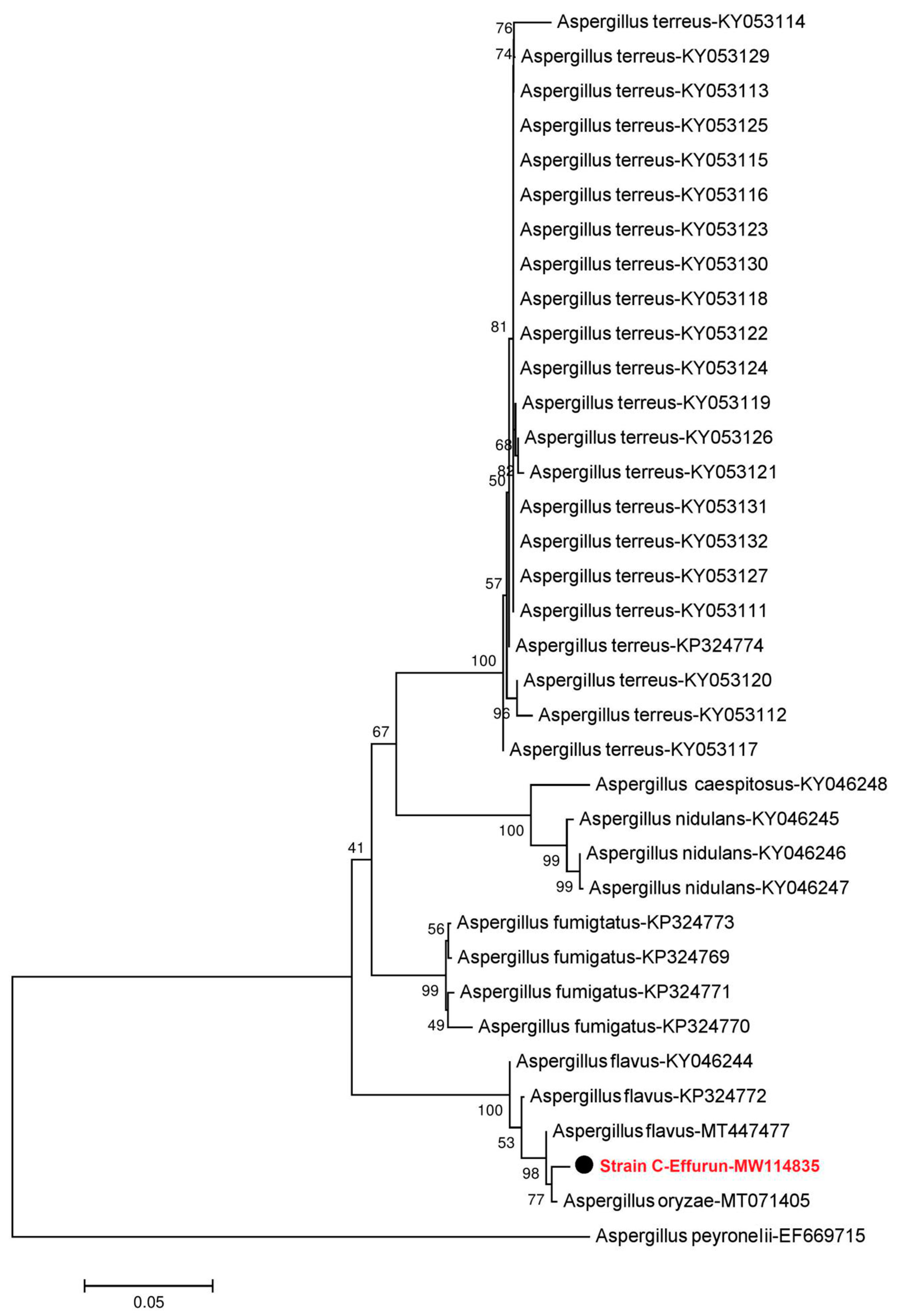 Microorganisms 08 01912 g002 Microorganisms 08 01912 g002