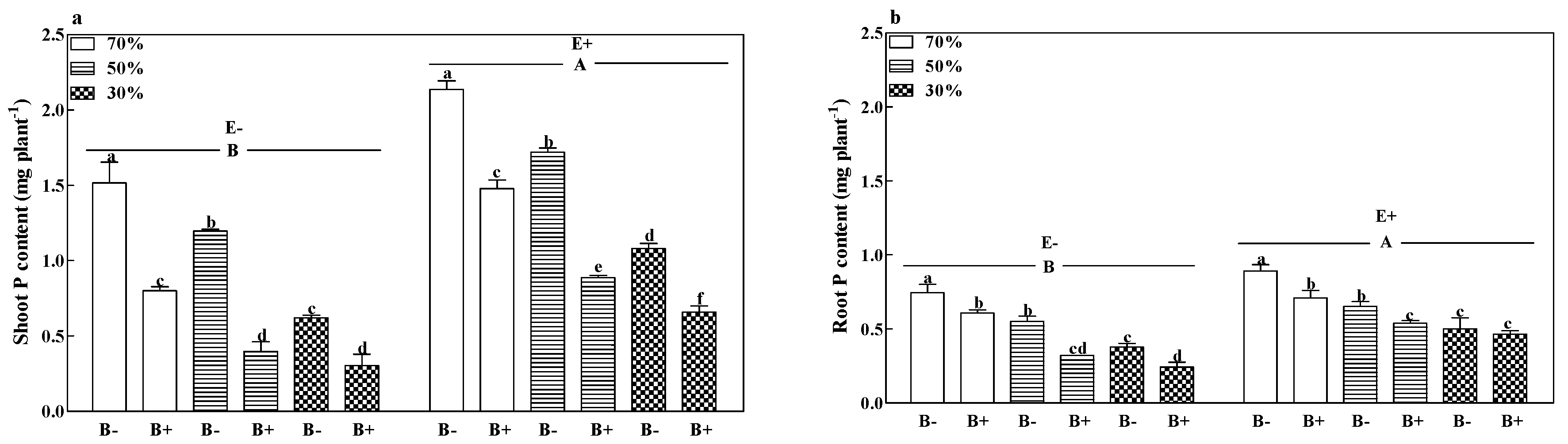Microorganisms 08 01917 g004
