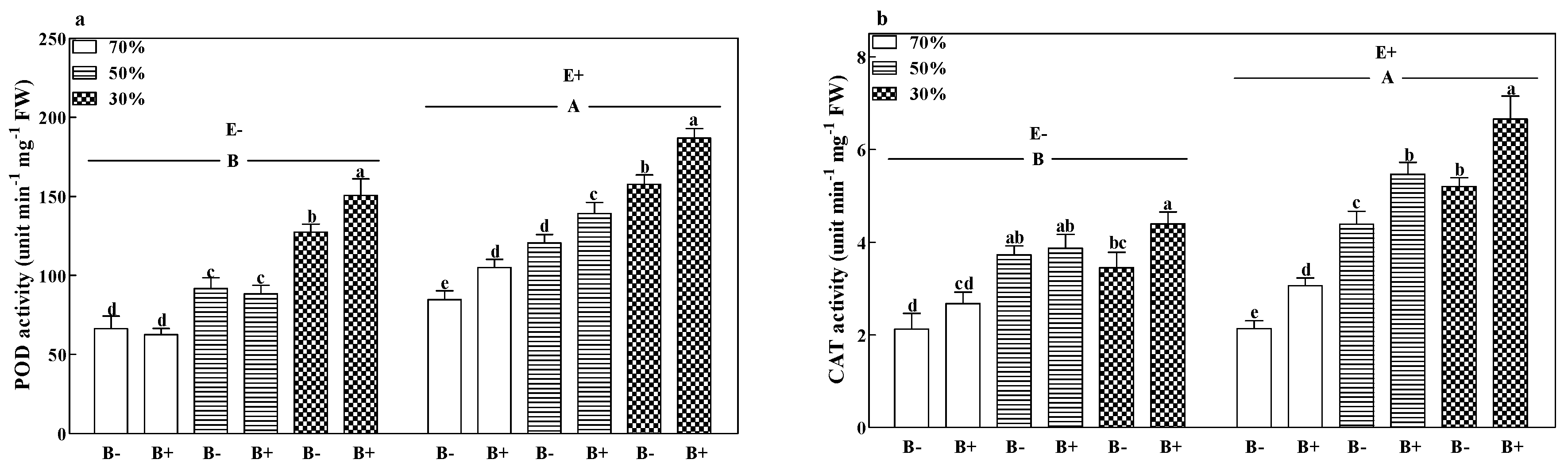 Microorganisms 08 01917 g005