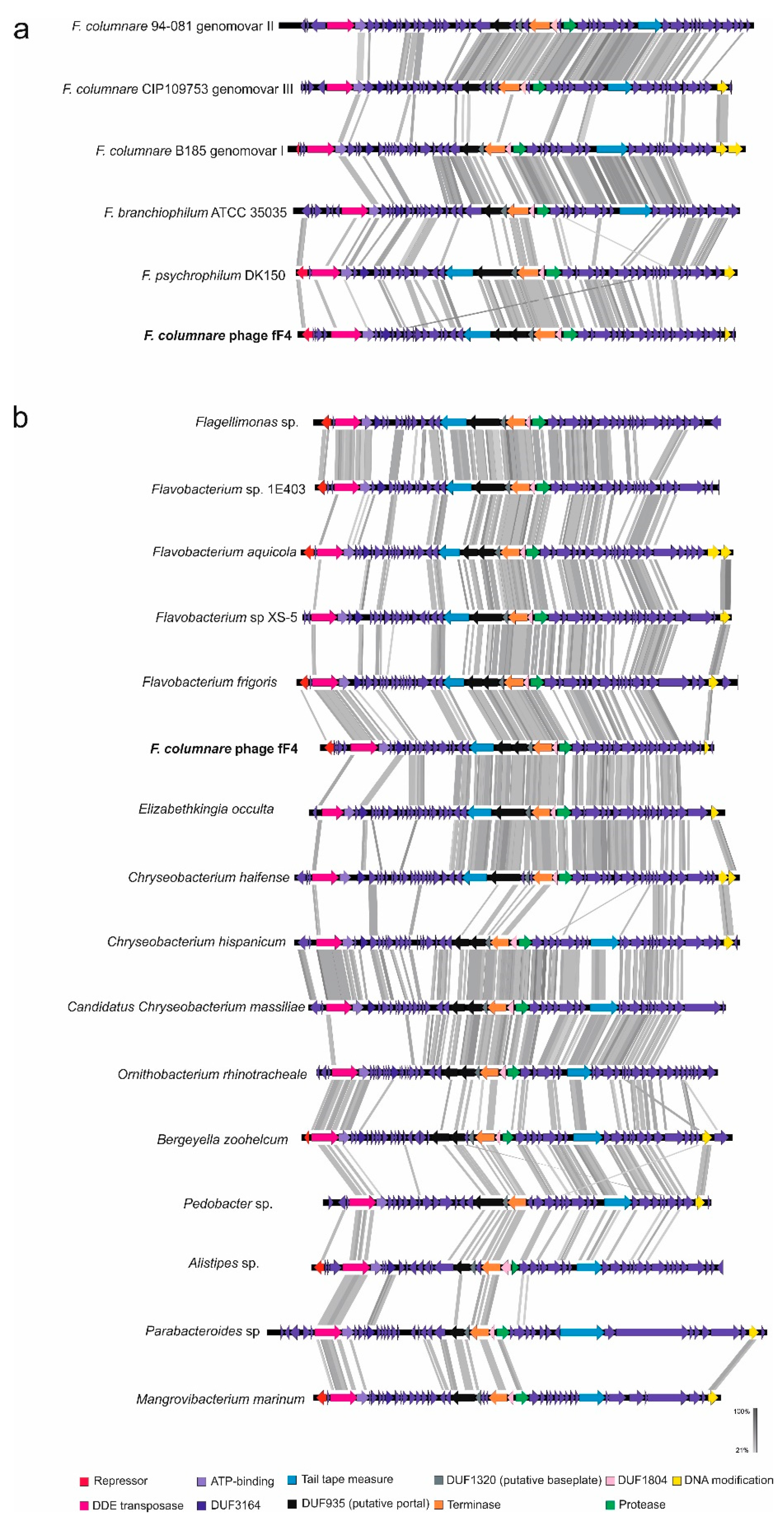 Microorganisms 08 01919 g003