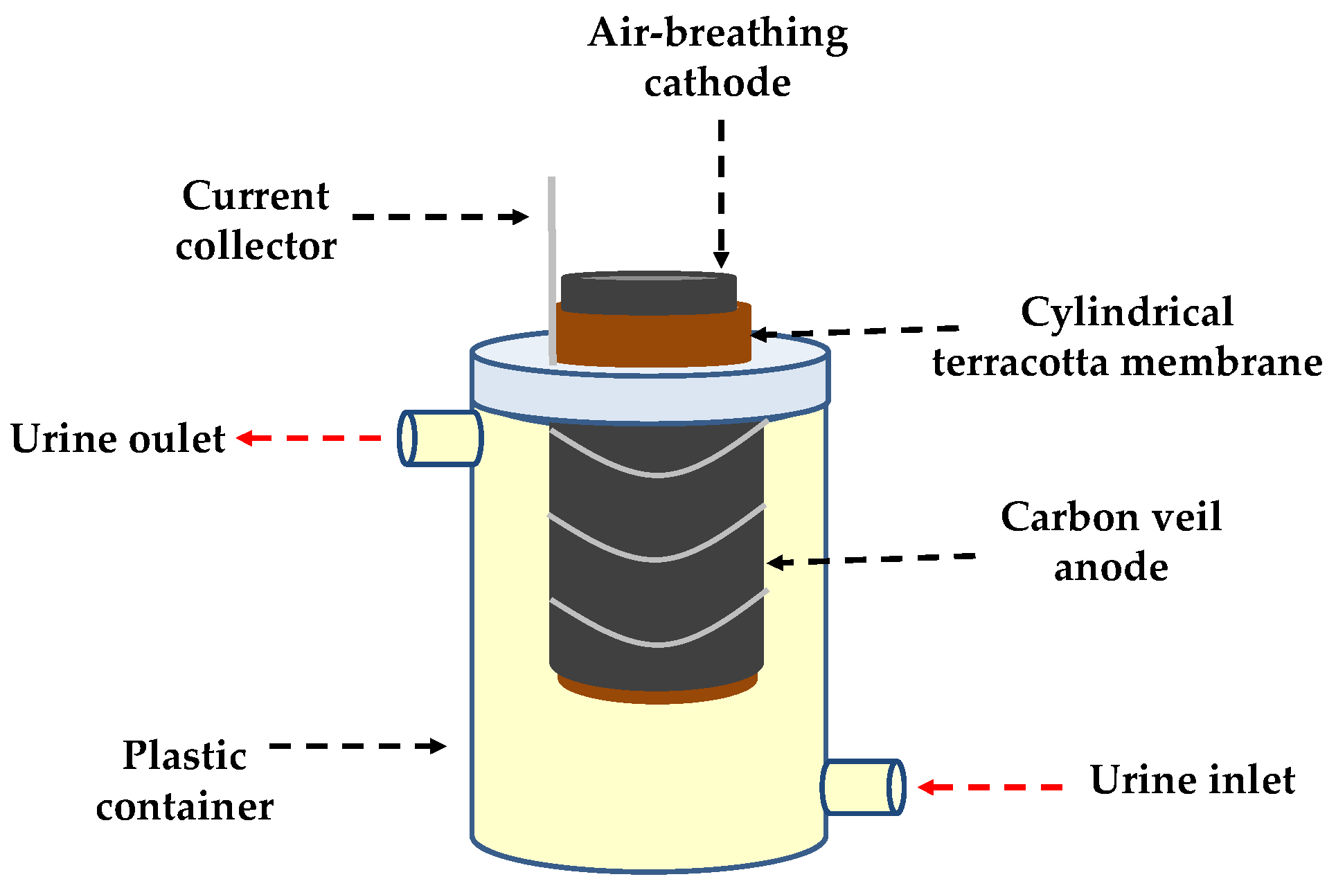 Microorganisms 08 01921 g001 Microorganisms 08 01921 g001